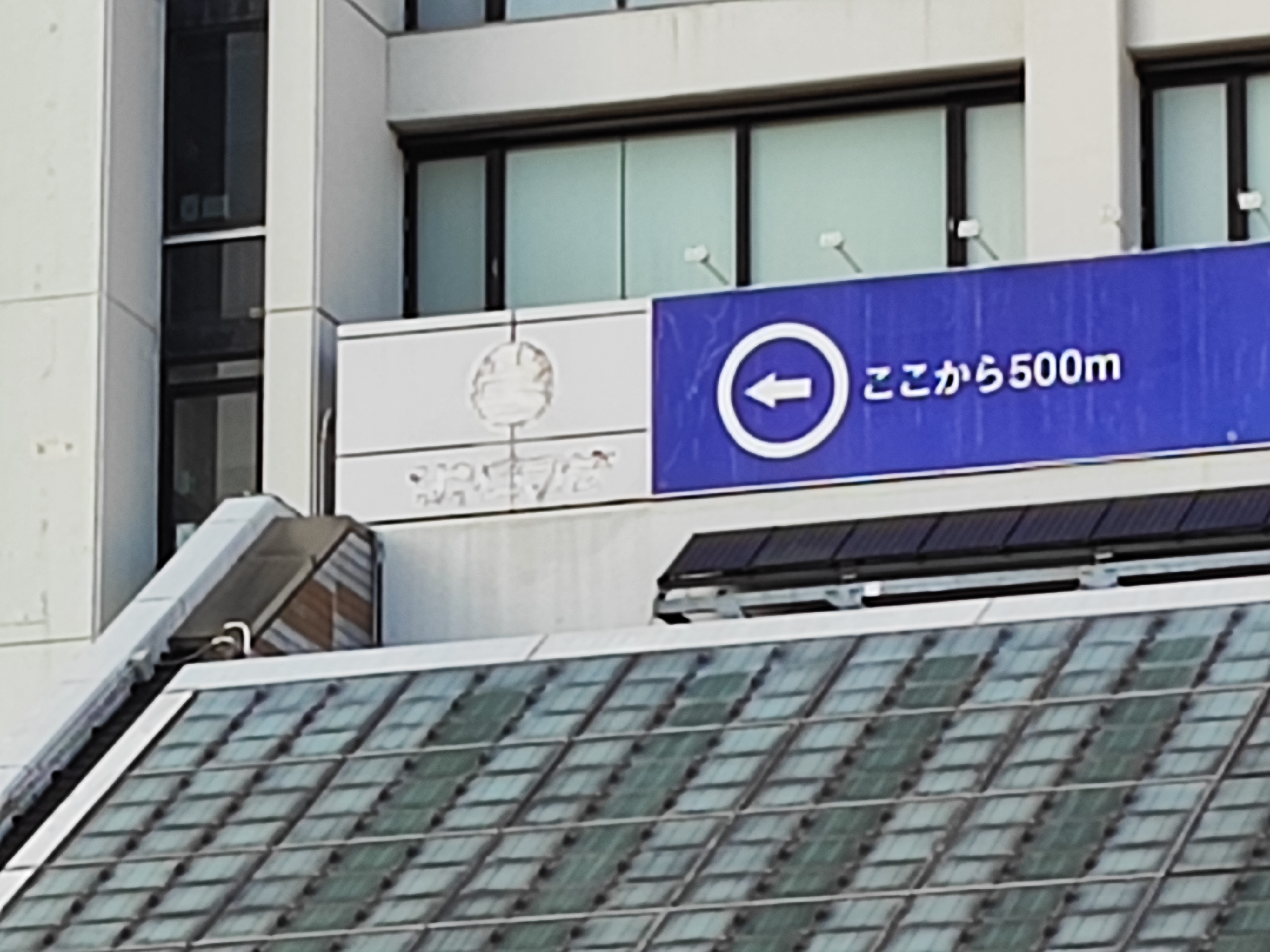 10倍ともなるとかなり厳しいデジタルズーム感に