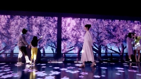 サクラサク様 コロナ禍でも楽しめる花見イベント、KDDIが「GINZA 456 願い