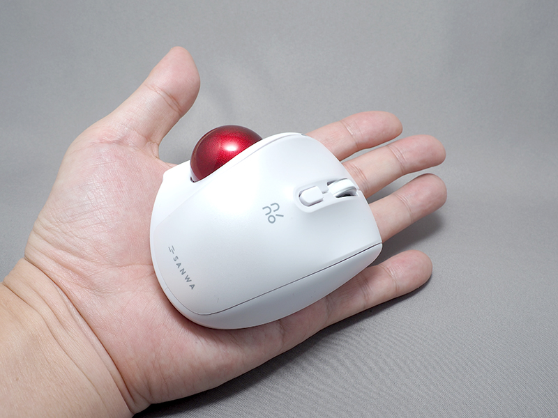 長さ9.5cm、幅7.5cmで、手のひらに乗るサイズ。91g（電池含まず）と軽量だ