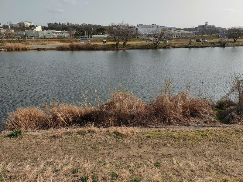 春先の土手をスナップ。どーってことない写真だが、まさにこういう空の感じであり、草木もこんなだった。「盛らない」写りだと思う。