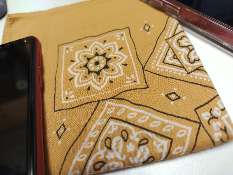 バンダナを接写。繊維までよく写っている。モノの色味もこんな感じである。