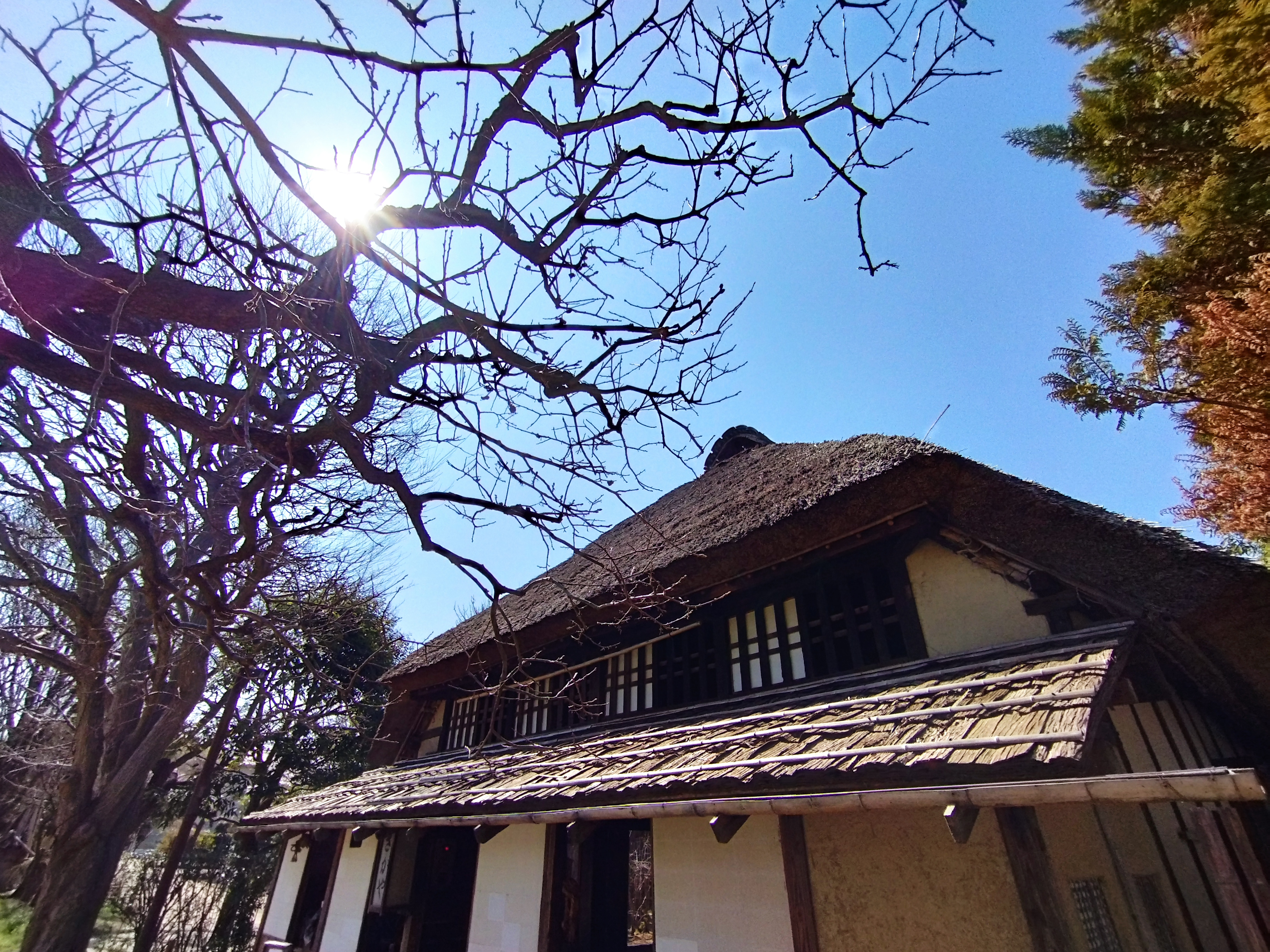 「AI」オンにして逆光で古い日本家屋を撮ったが、シャドウ部も潰れずいい雰囲気のカットになった。近ごろのハイエンド機と比較すると色味が浅い印象を受ける