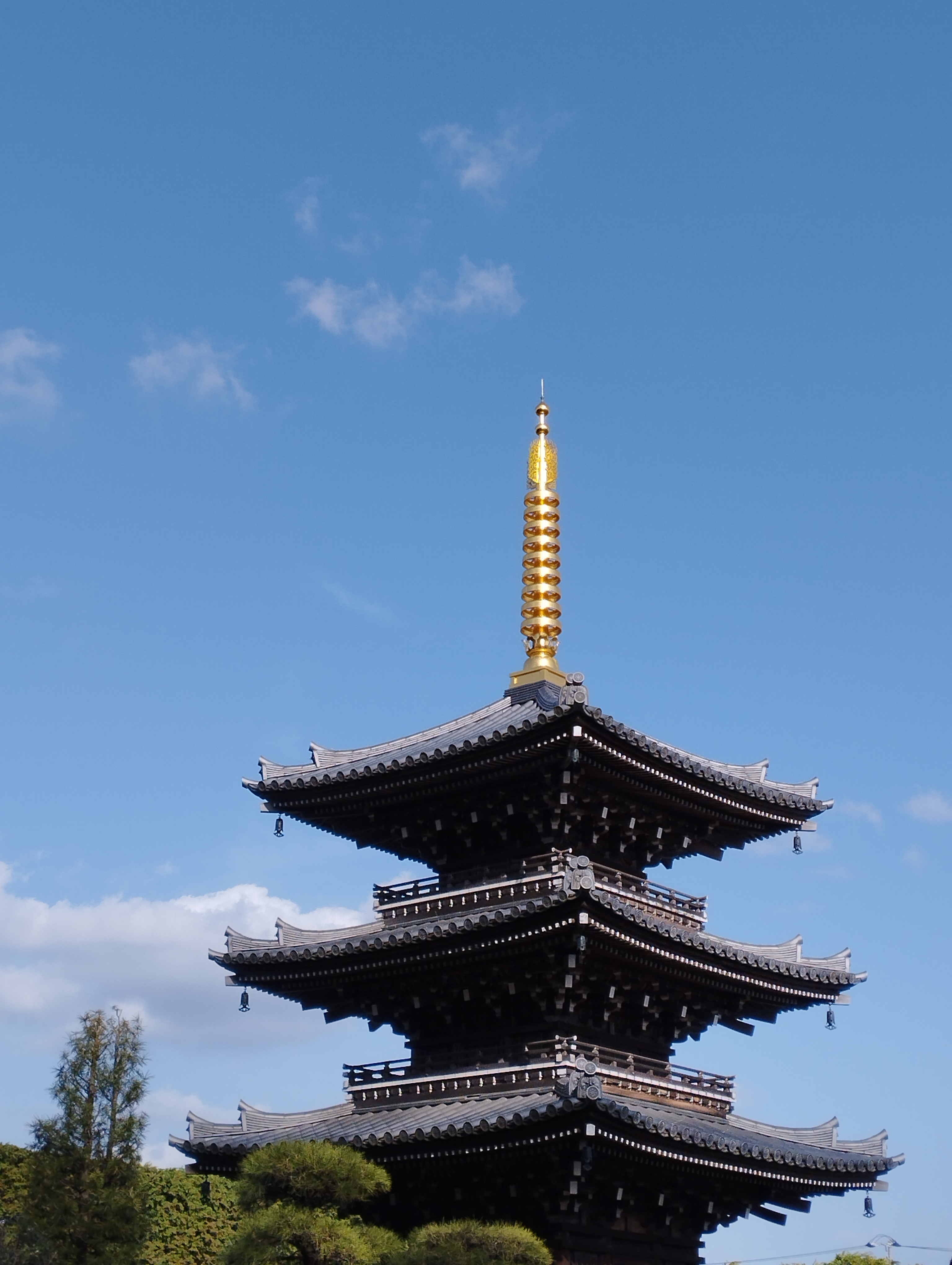 世田谷にある三重塔。あっさり目の色合いが新鮮に感じる。ひと世代前の画質に感じるが、価格を考えれば上出来、といった感じだろうか