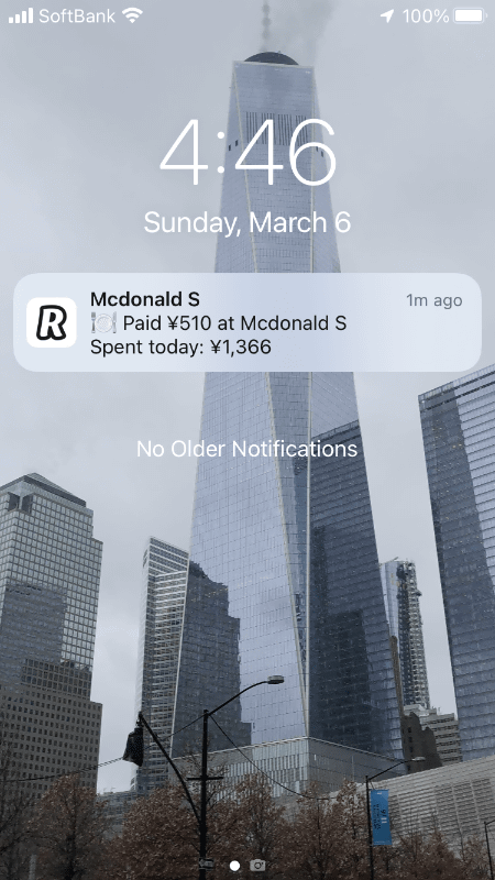 決済額とともに、1日に使った金額が表示されている