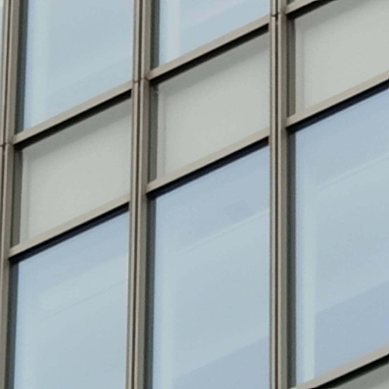 20倍（最高倍率）で撮影