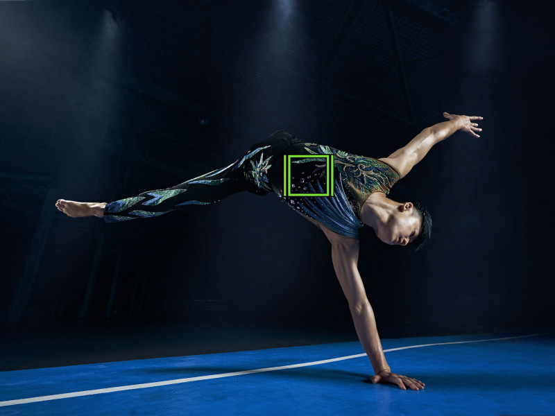 リアルタイムオートトラッキング