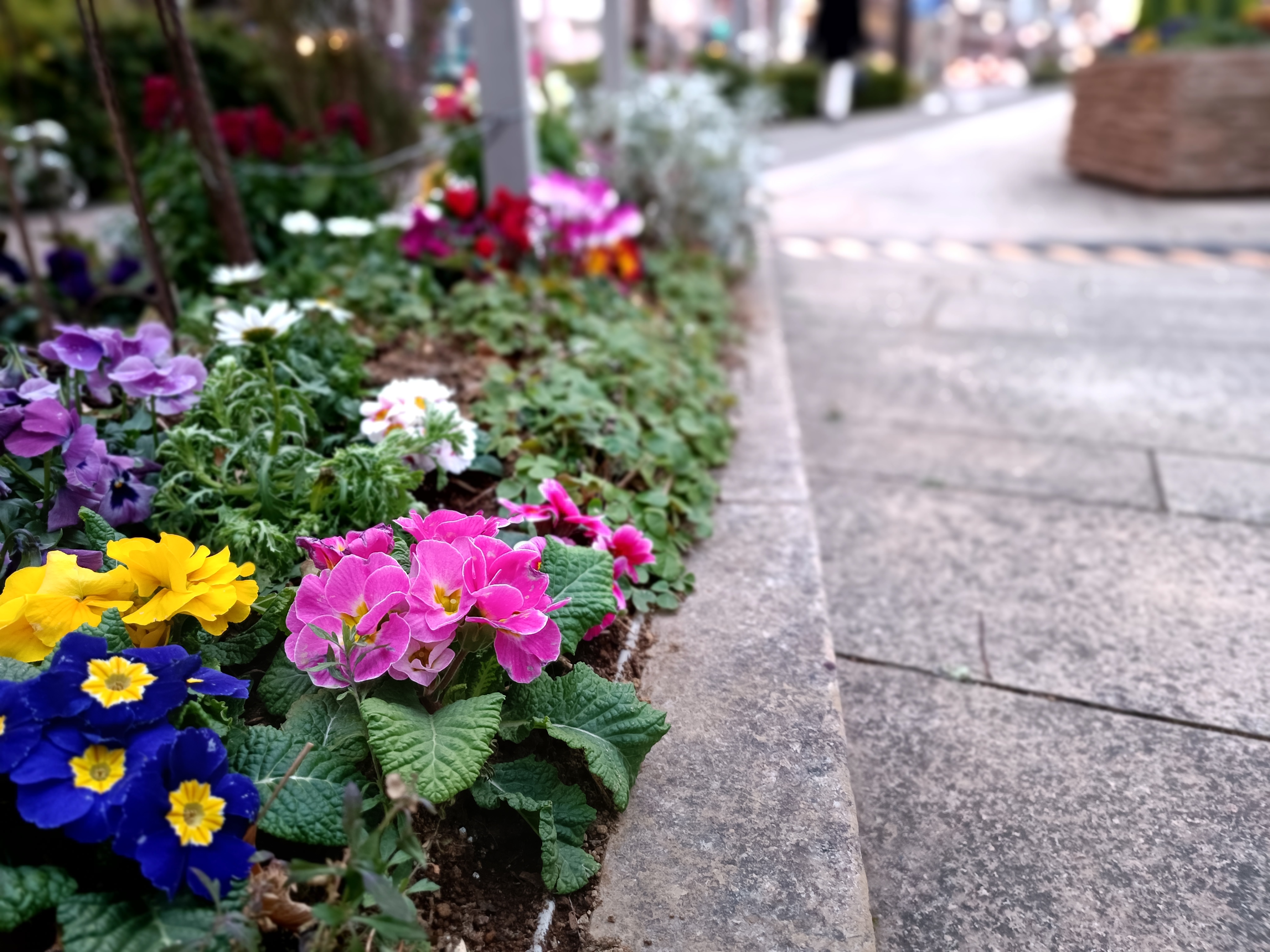 ポートレートで撮影