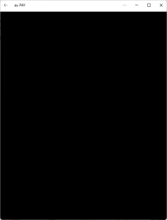 決済系のアプリはセキュリティを担保するためか、軒並みWindows側に表示できなかった。パソコンでサクッとチャージしてからランチに出られると便利なのだが……