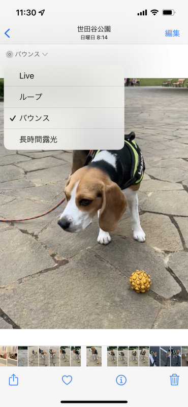 独自のエフェクトは簡単な操作で楽しめる