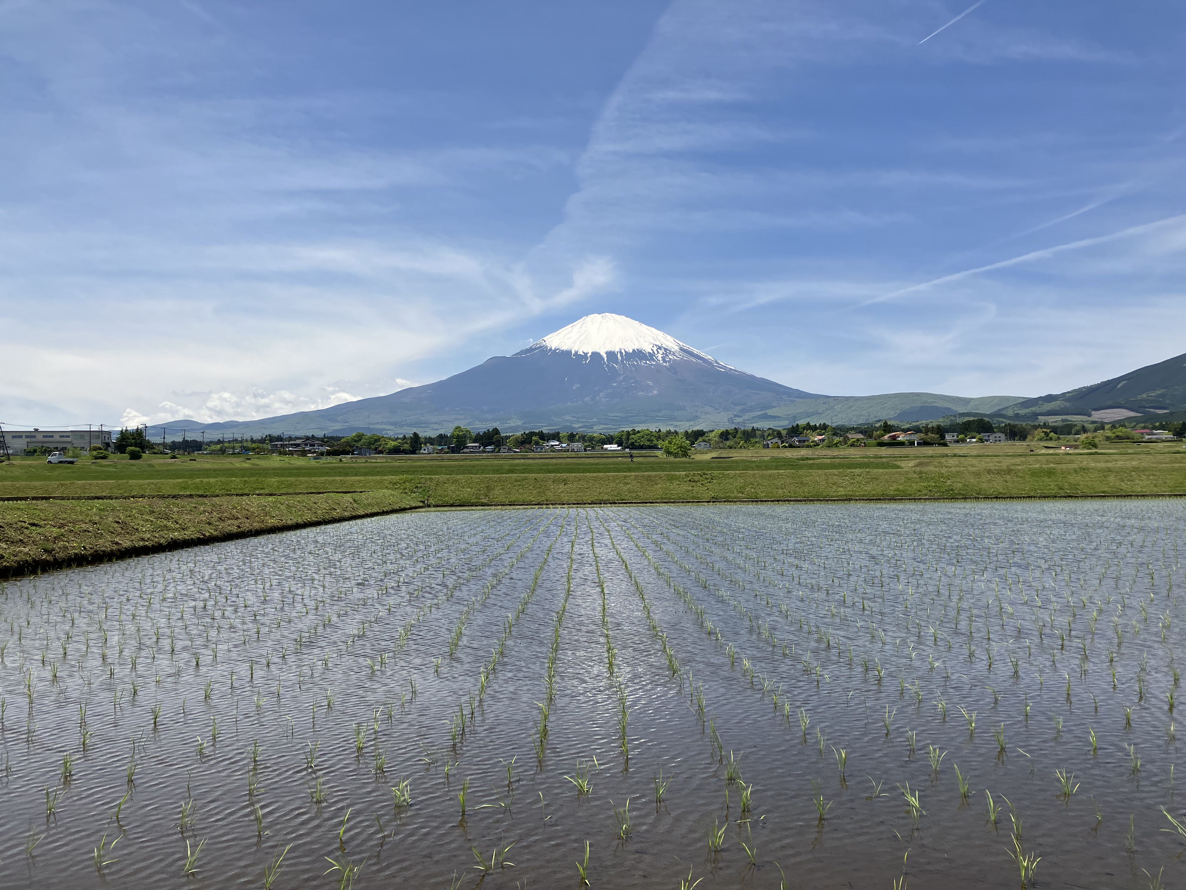 早速富士山撮影ロケに連れ出した。田んぼに水が入りいよいよ初夏といった感じだ。ただシャッターボタンを押すだけで美しい写真が誰でも撮れるのがiPhoneシリーズのよいところである。