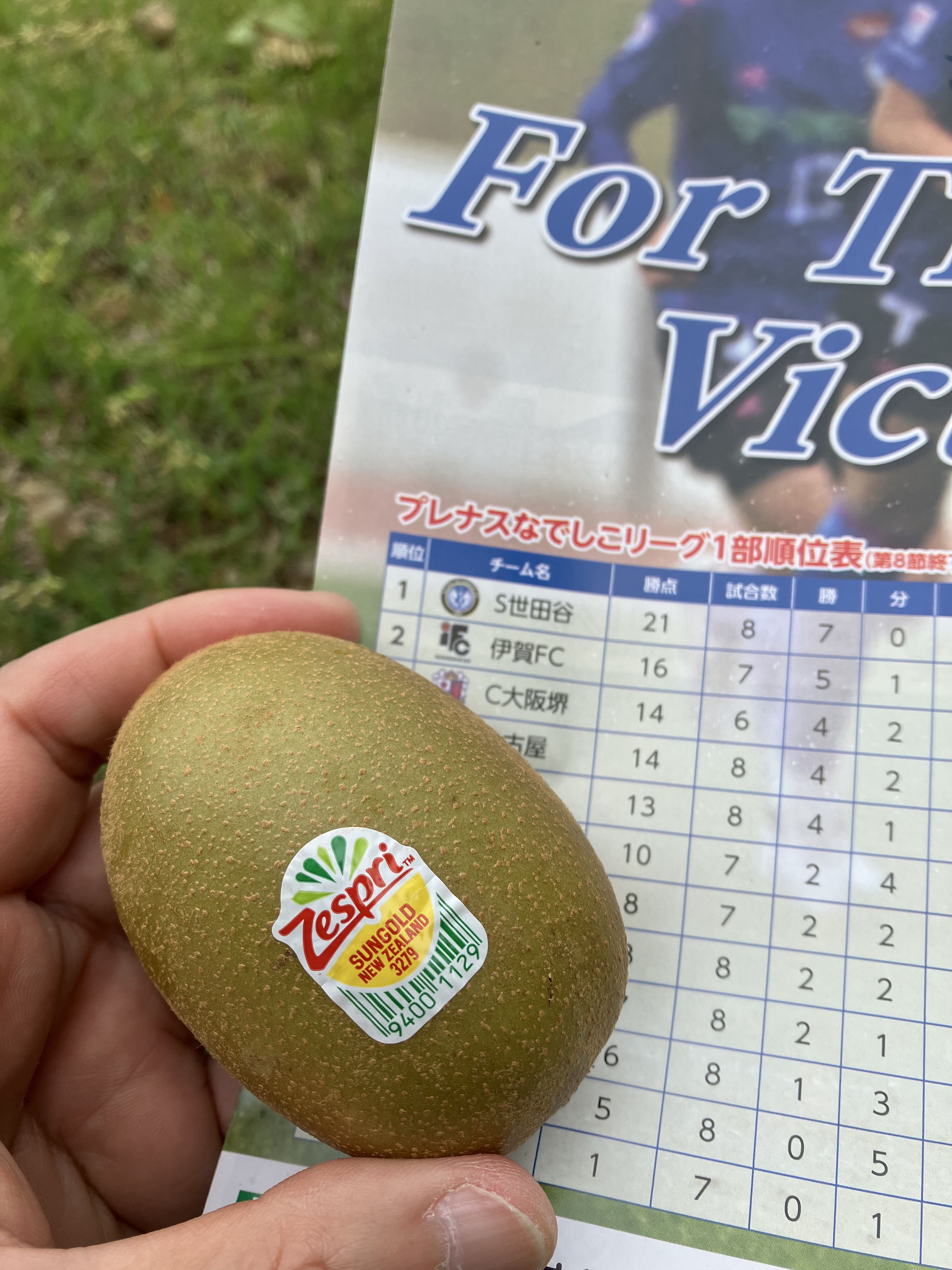 週末は応援している地元のなでしこリーグ1部「スフィーダ世田谷FC」のゲームを観戦に。入場時に配られたパンフレットとキウイフルーツを撮った。<br>「iPhone SE（第3世代）」は若干近接撮影時にもたつく印象を受けた。色のりもややあっさりとした感じ。ゲームは残念ながら久しぶりの敗戦となってしまったが首位を堅持！