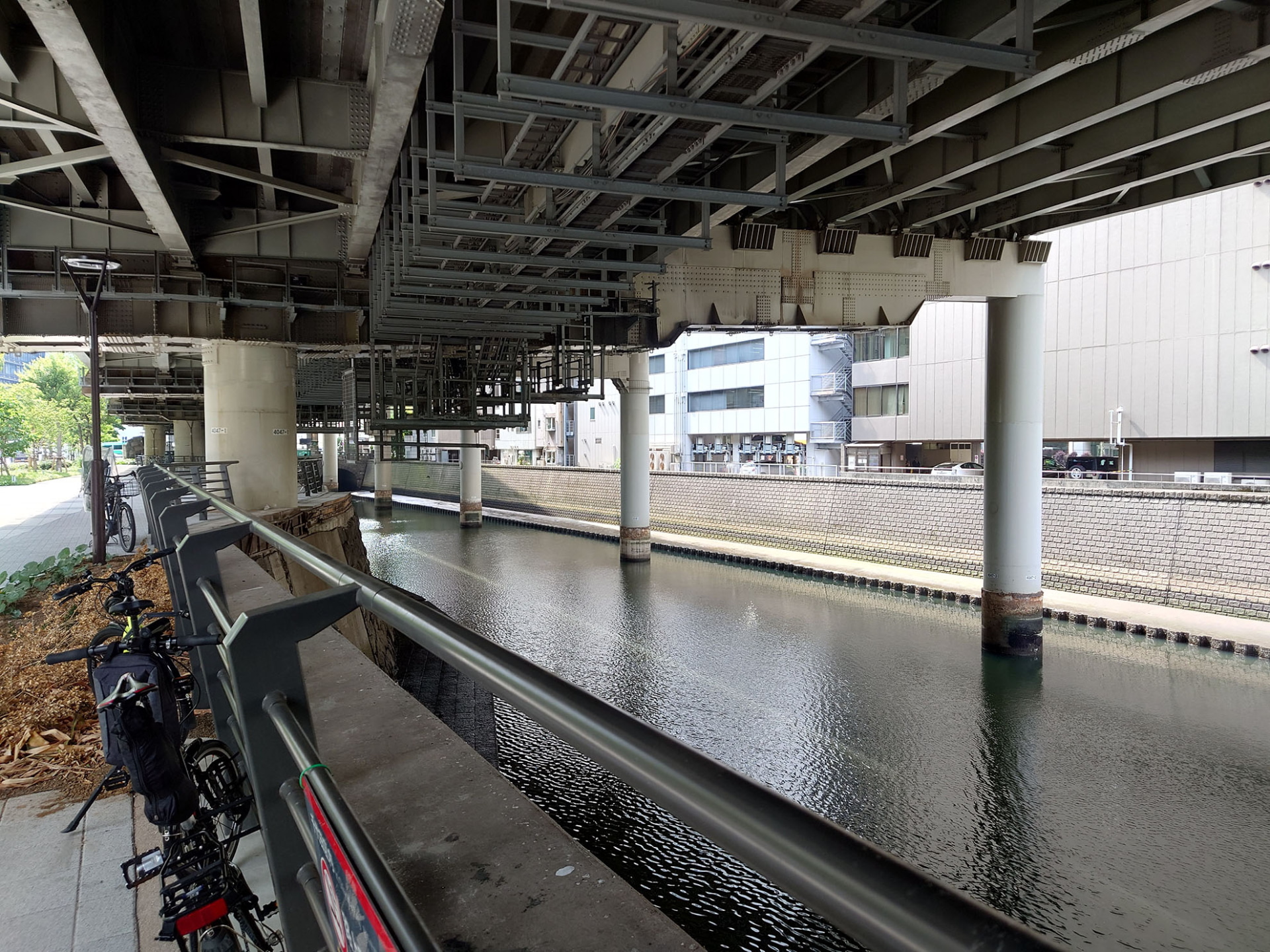 24mmの広角カメラで撮影