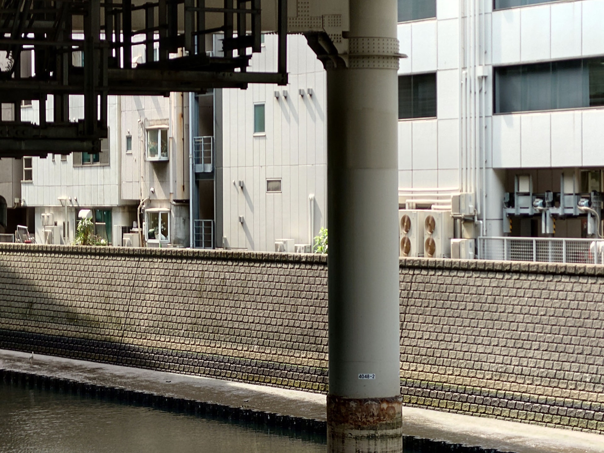 望遠カメラ（125mm）で撮影