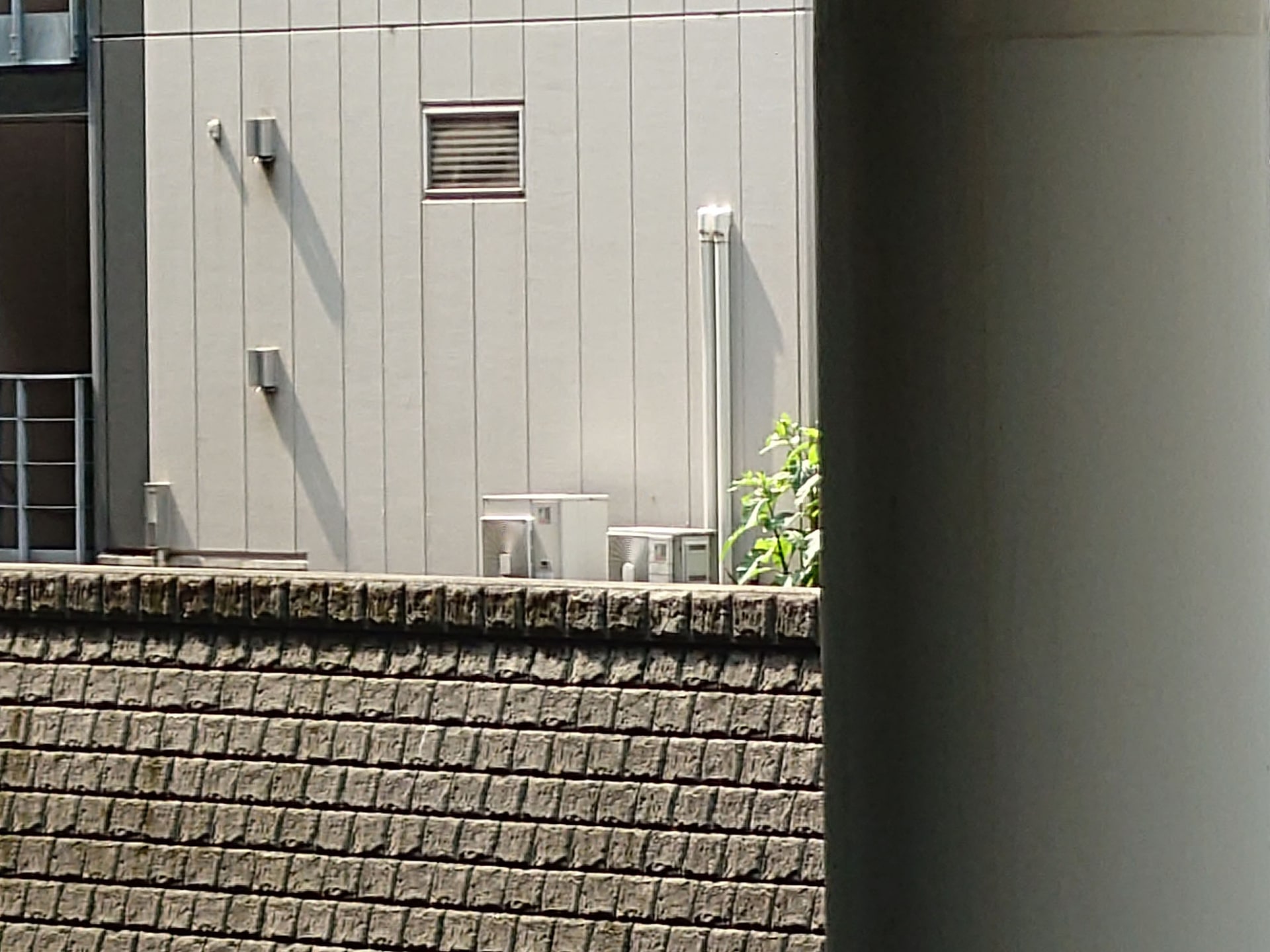 デジタルズームで最大まで寄って撮影