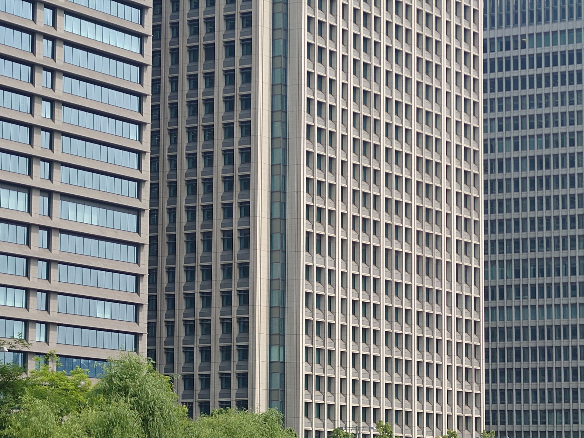 望遠カメラ（125mm）で撮影