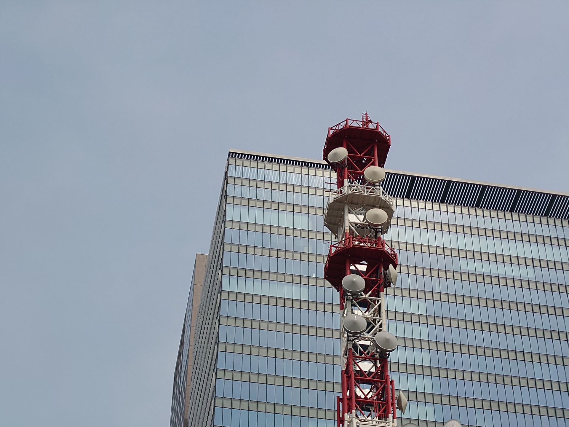 望遠カメラ（85mm）で撮影