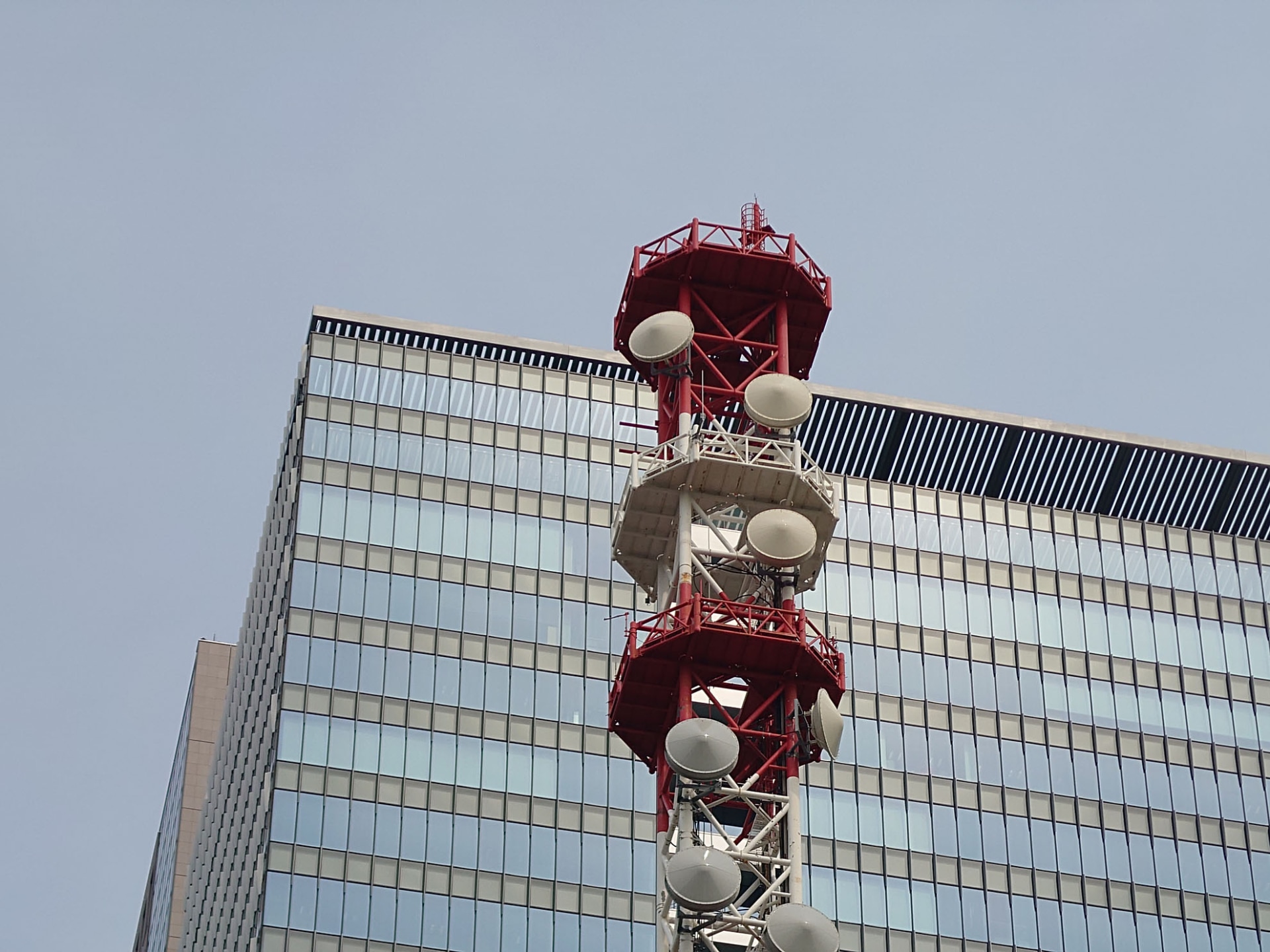 望遠カメラ（125mm）で撮影