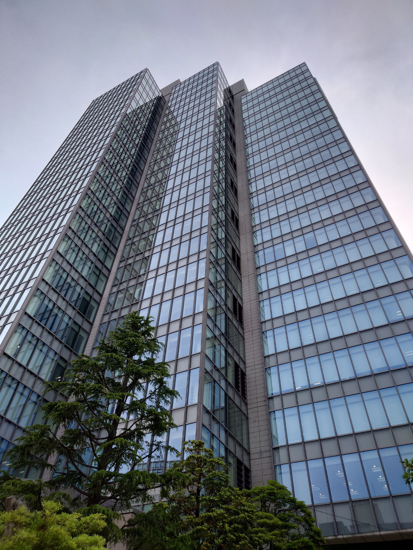 24mmの広角カメラで撮影