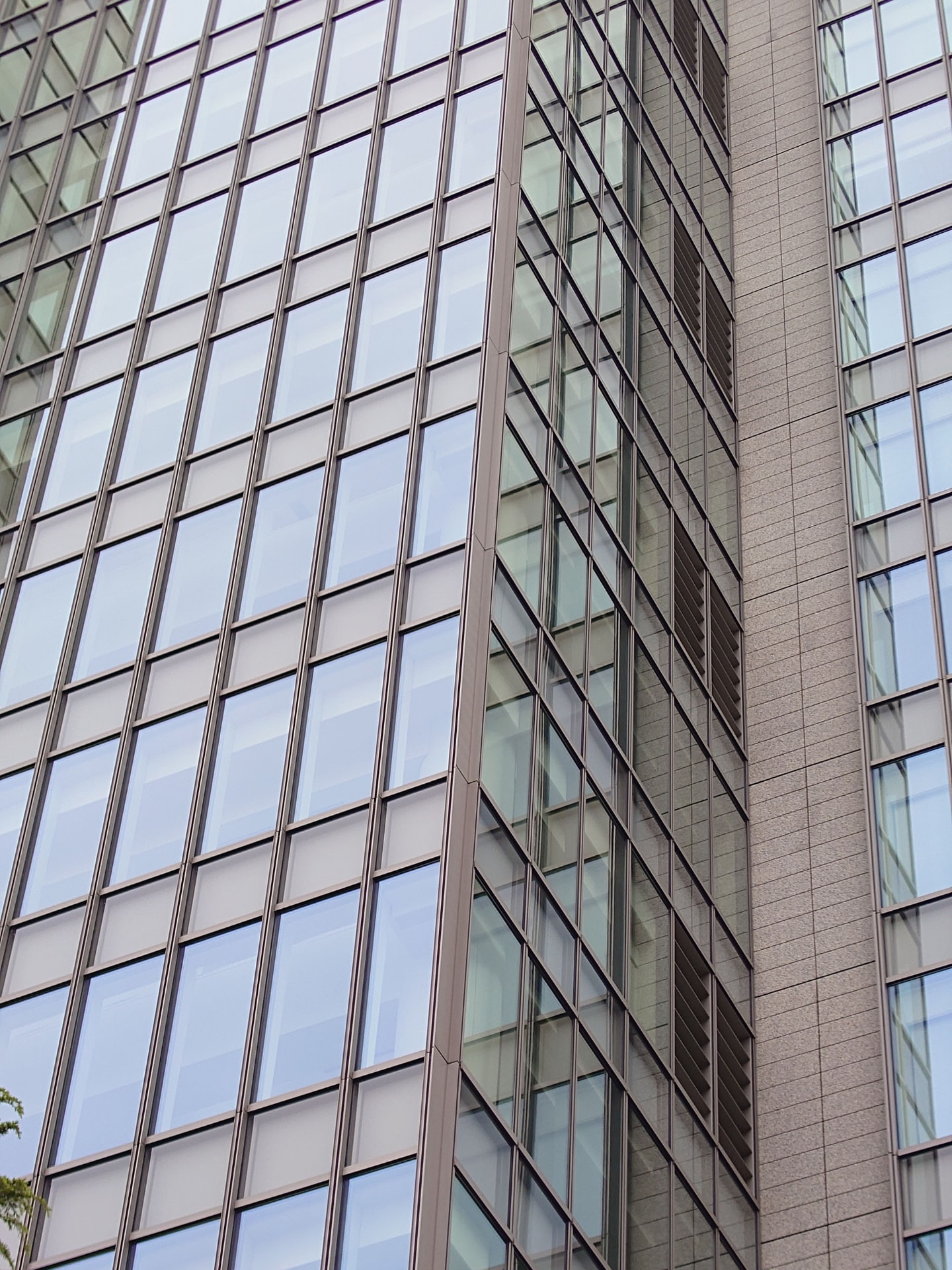 望遠カメラ（85mm）で撮影