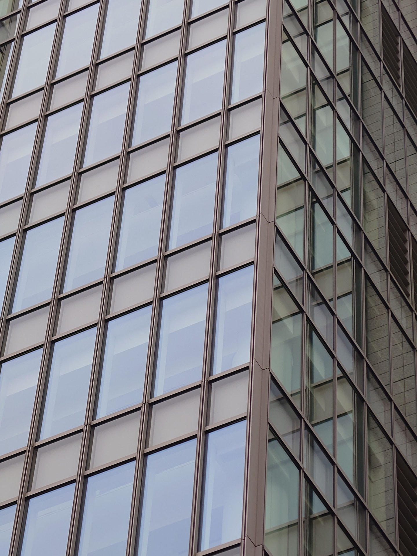 望遠カメラ（125mm）で撮影