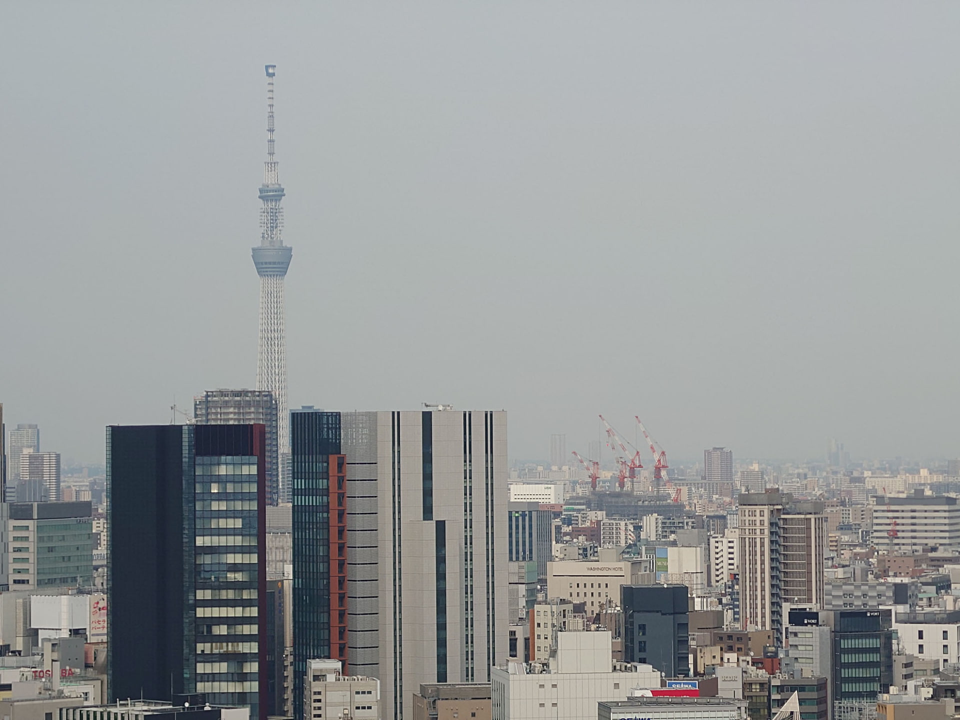 望遠カメラ（125mm）で撮影