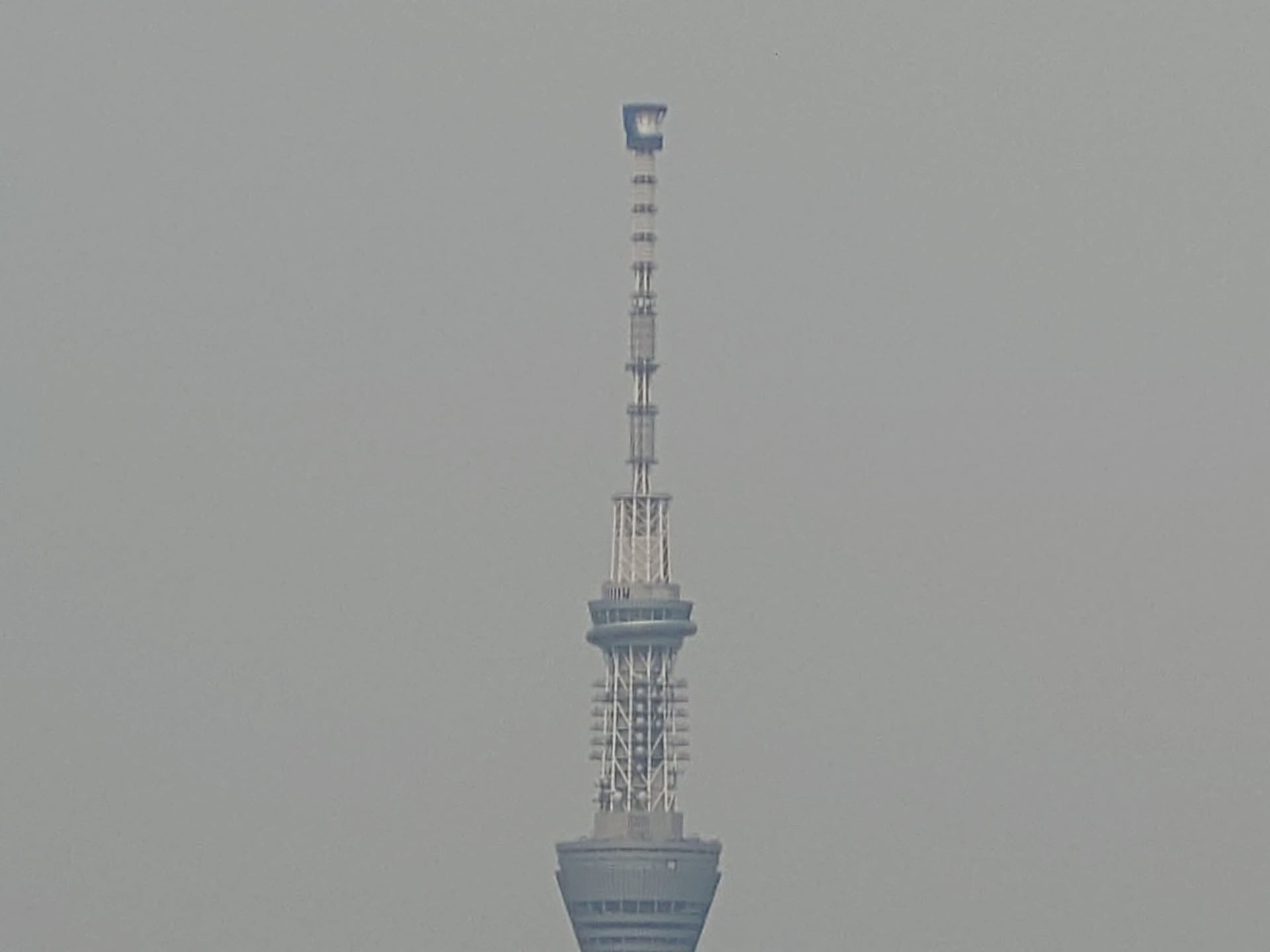 デジタルズームで最大まで寄って撮影