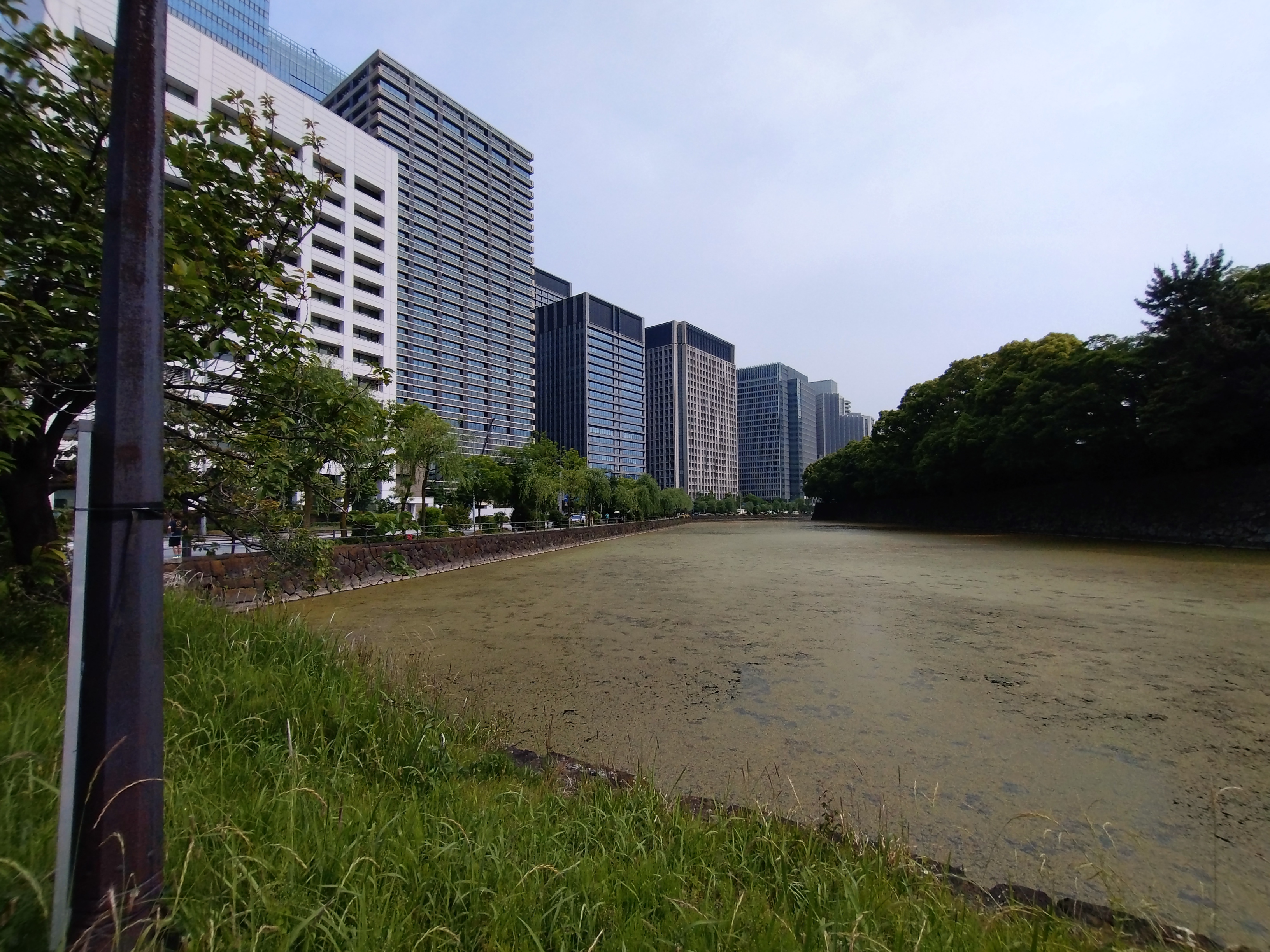 16mm超広角カメラで撮影