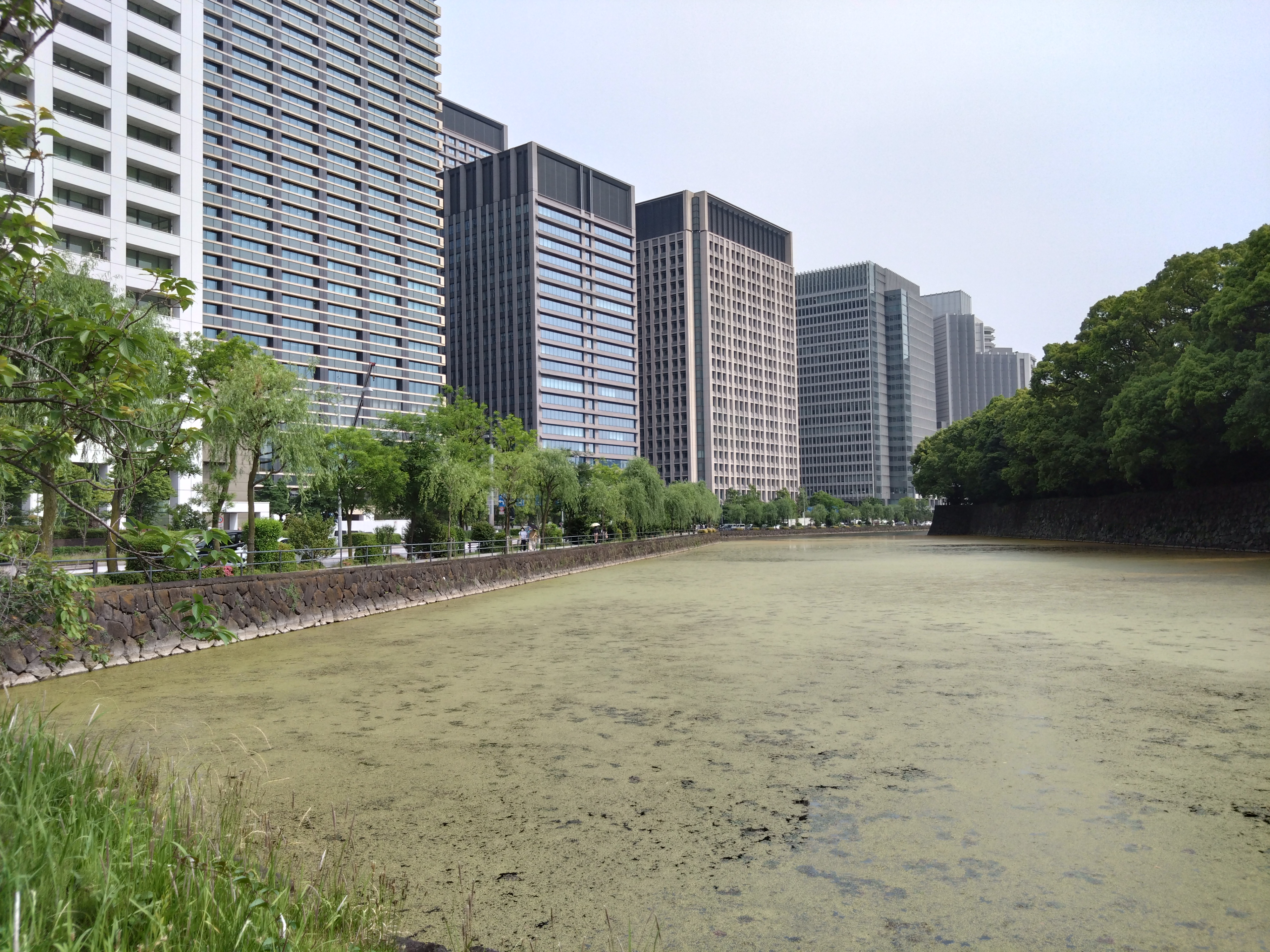 27mm広角カメラで撮影