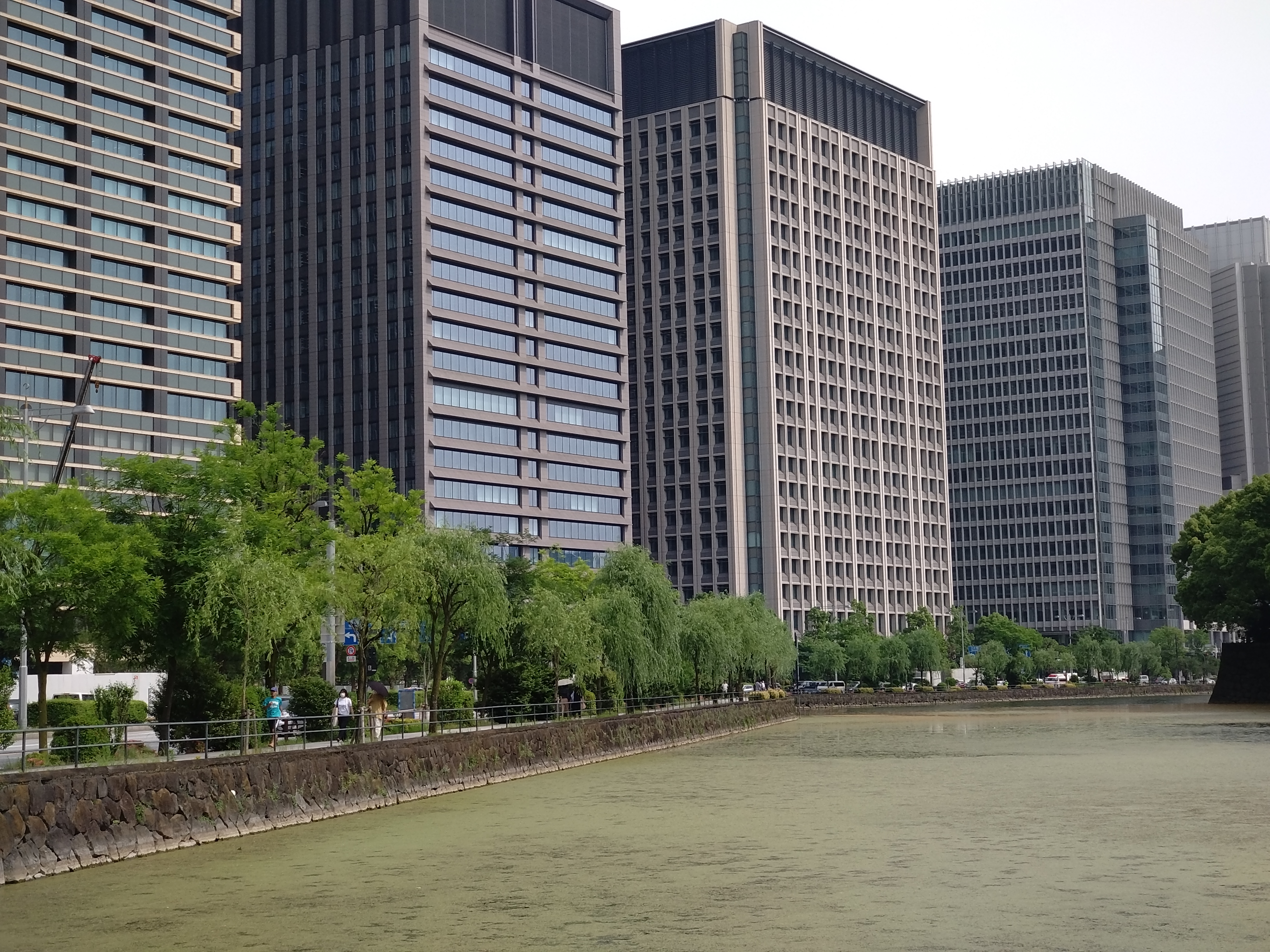 54mm望遠カメラで撮影