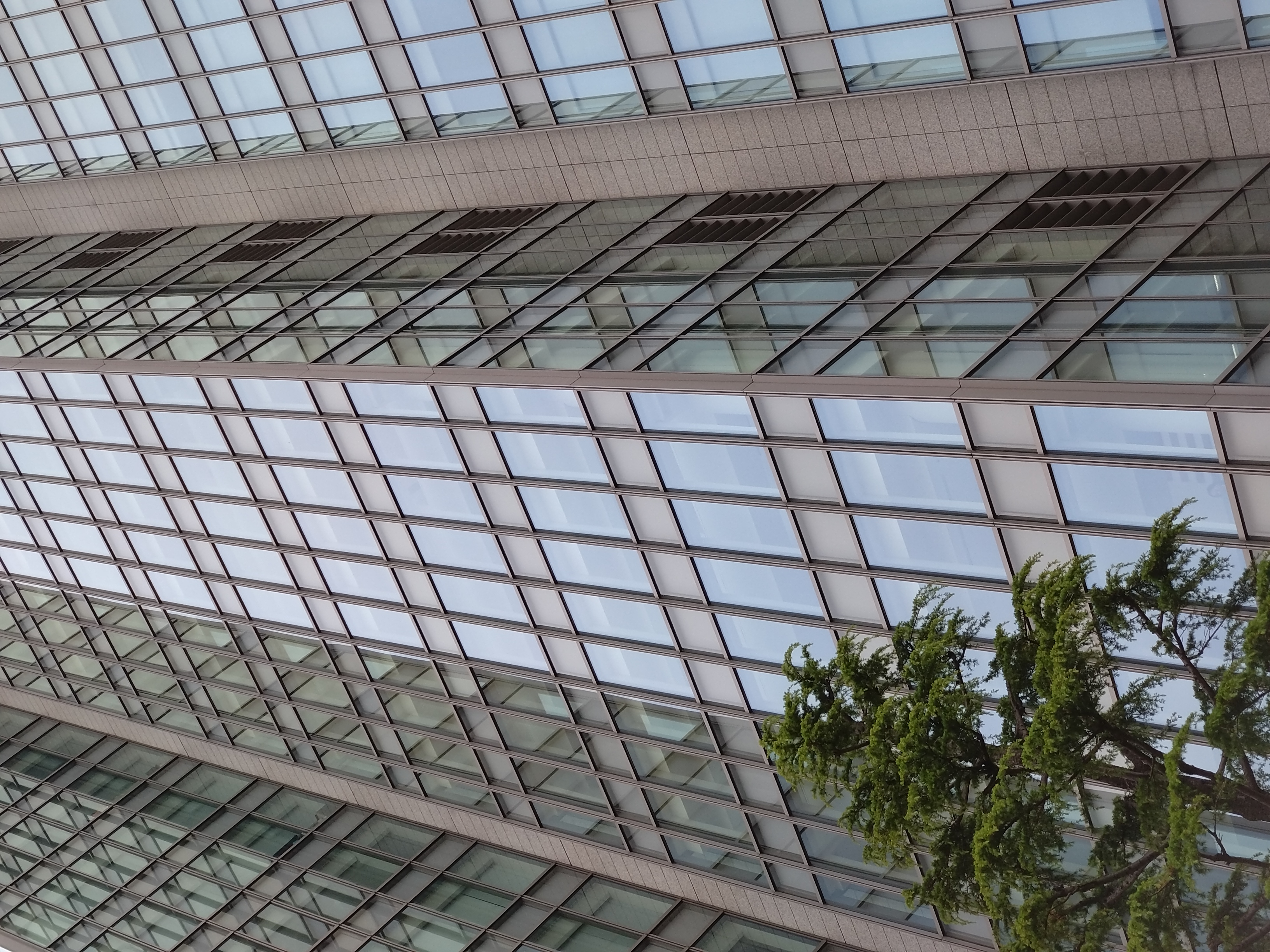 54mm望遠カメラで撮影