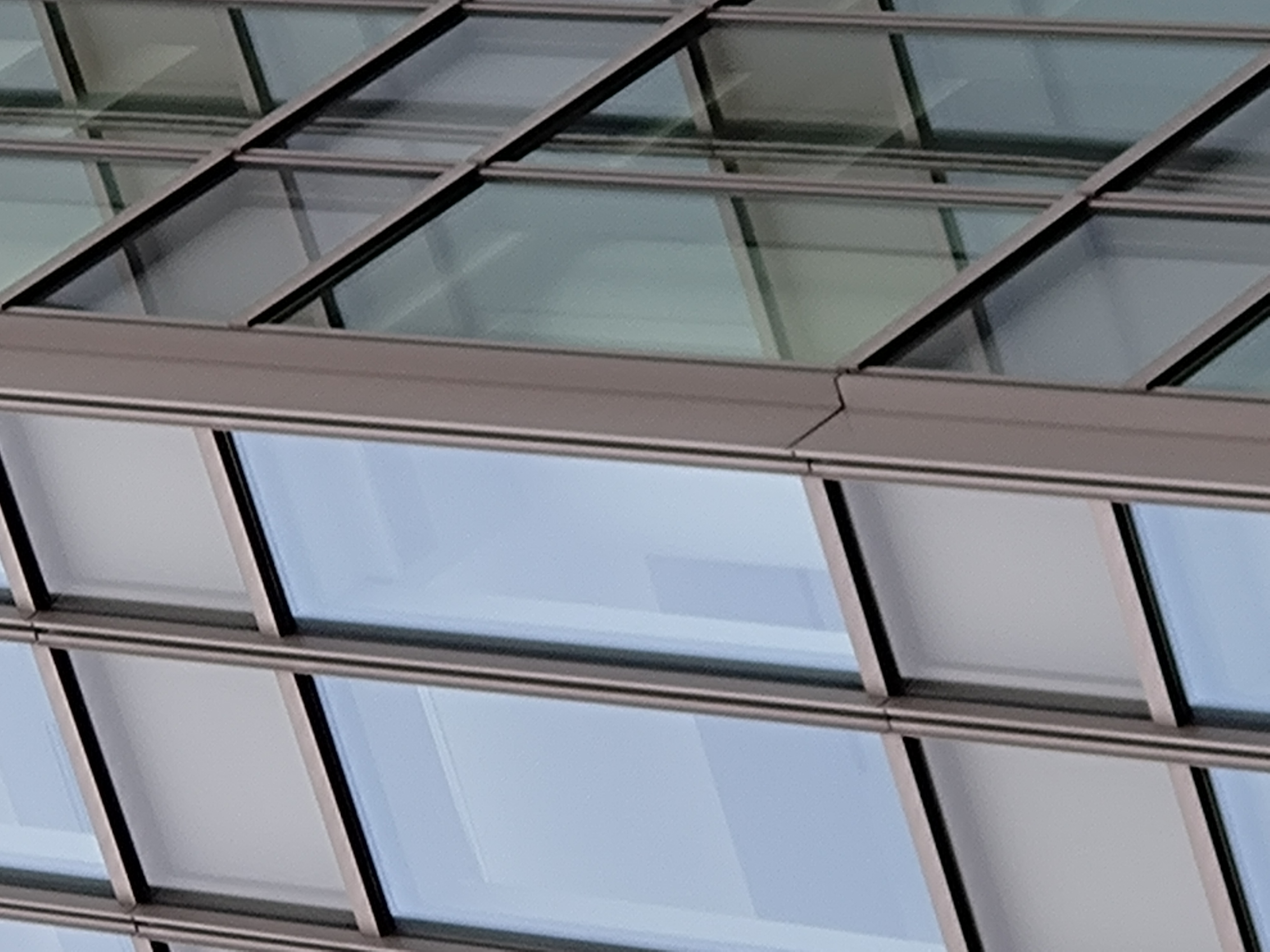 デジタルズームで最大まで寄って撮影