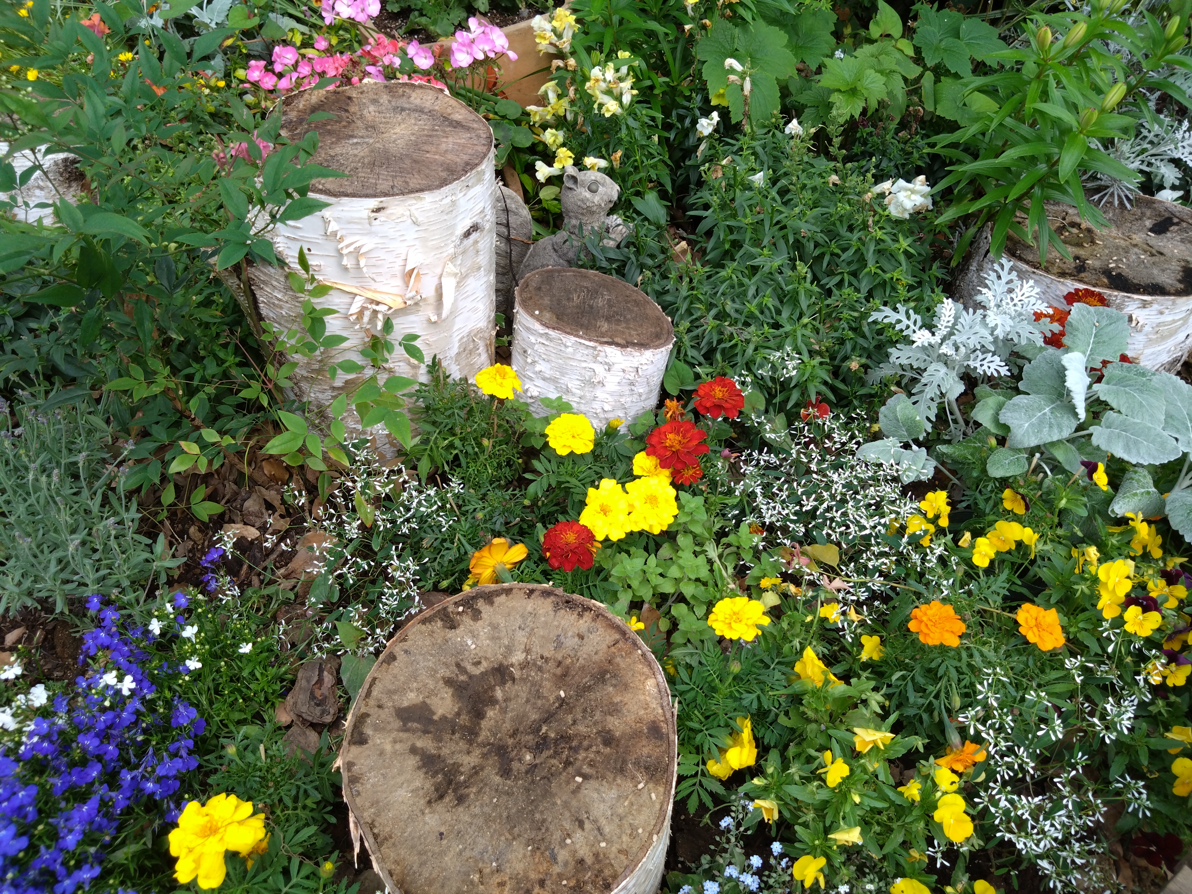 16mm超広角カメラで撮影