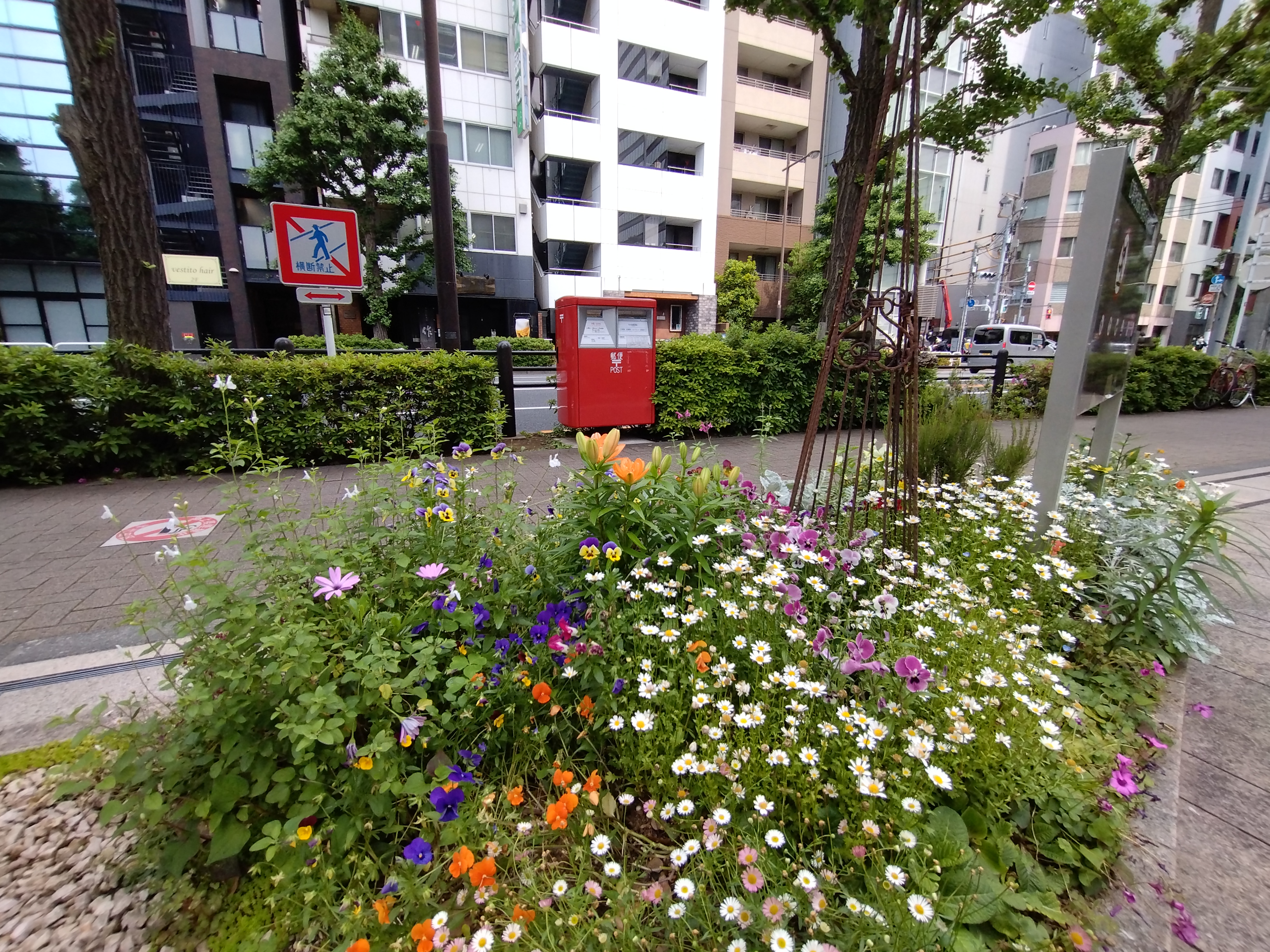 16mm超広角カメラで撮影