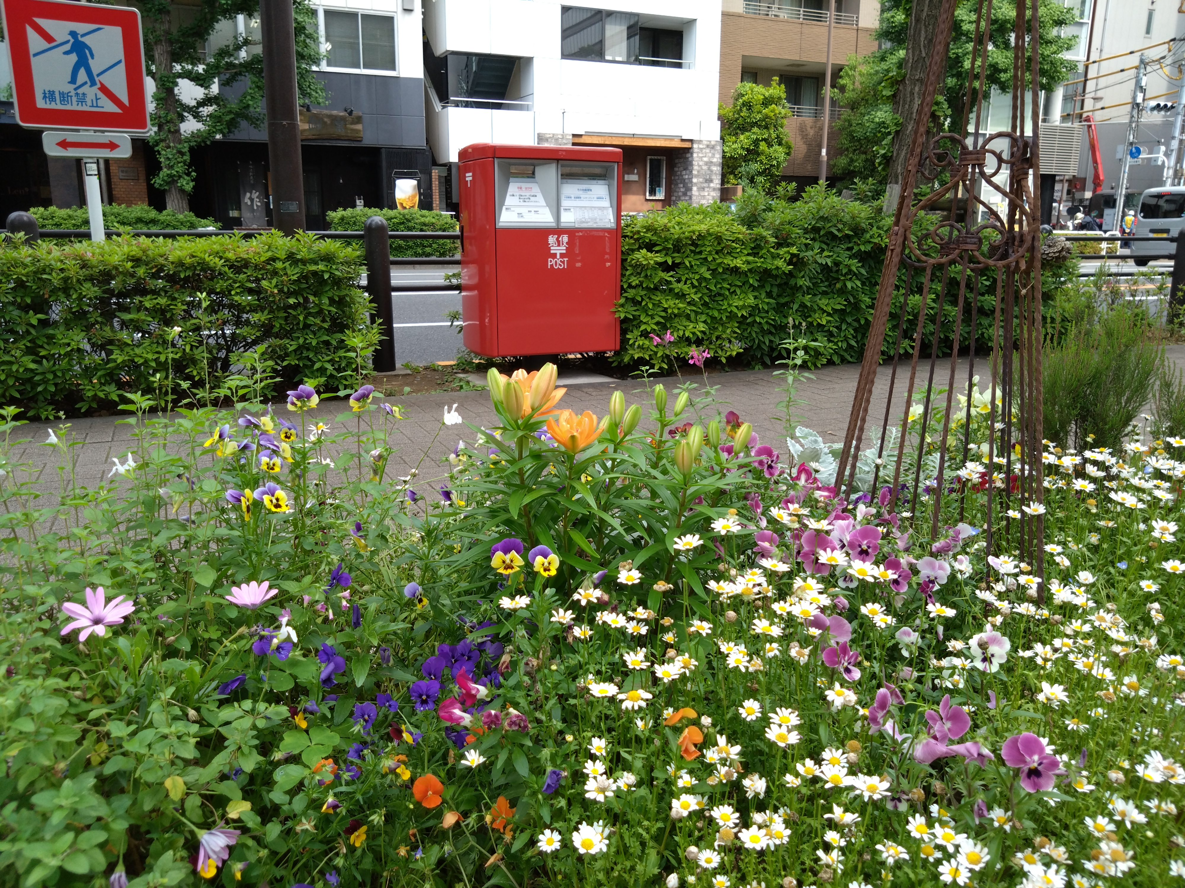 27mm広角カメラで撮影