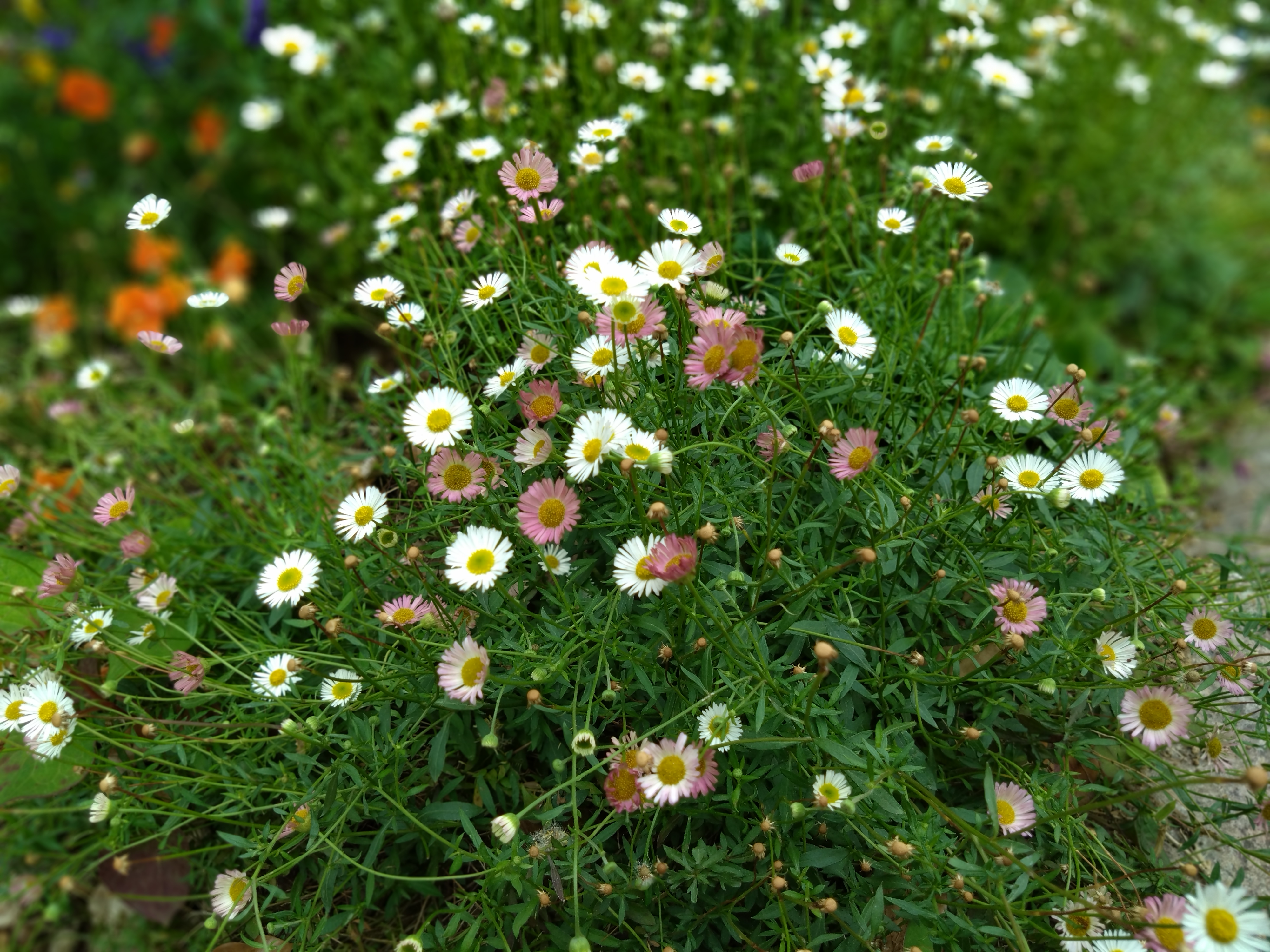16mm超広角カメラで撮影