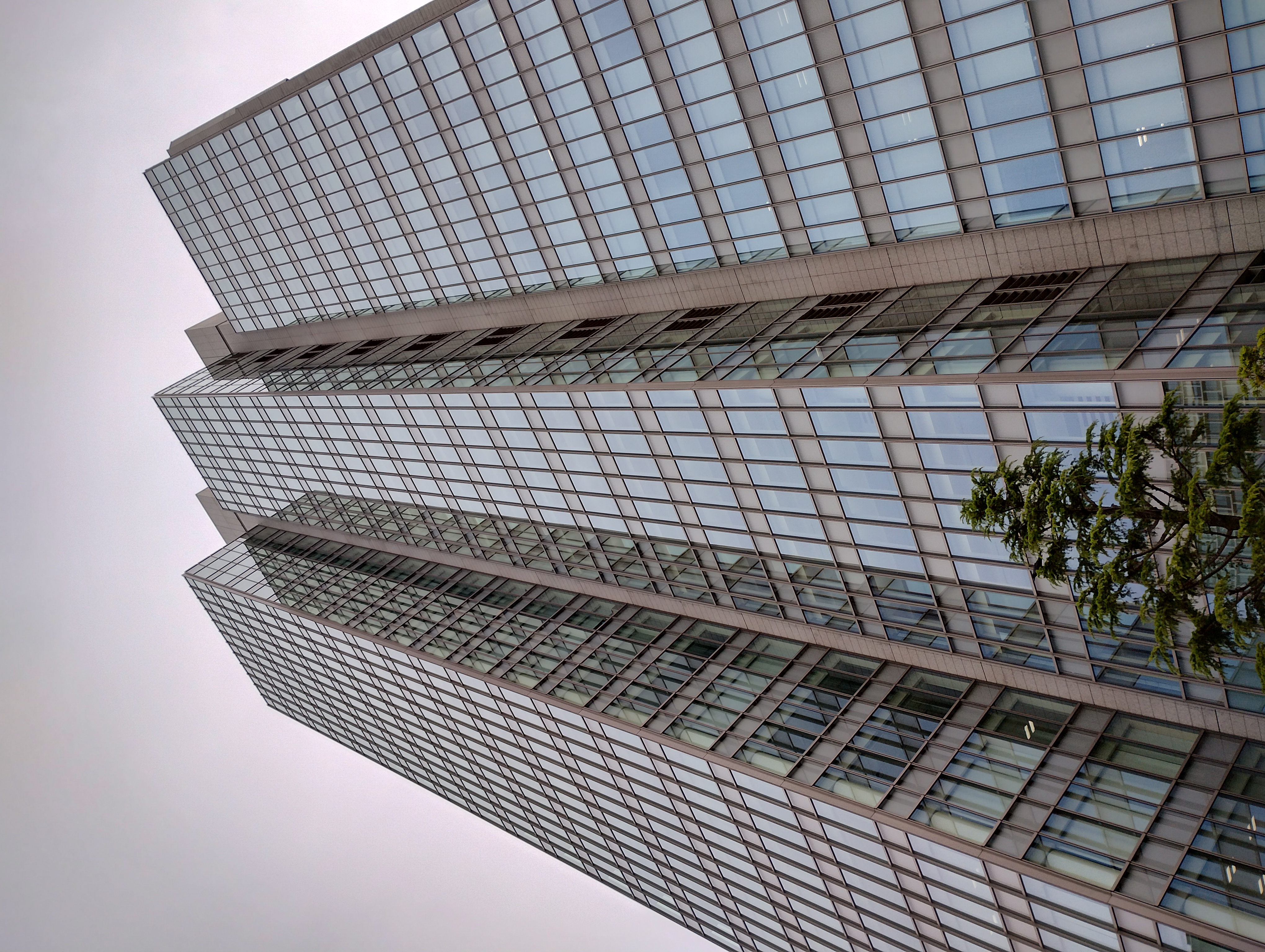 メインカメラで撮影