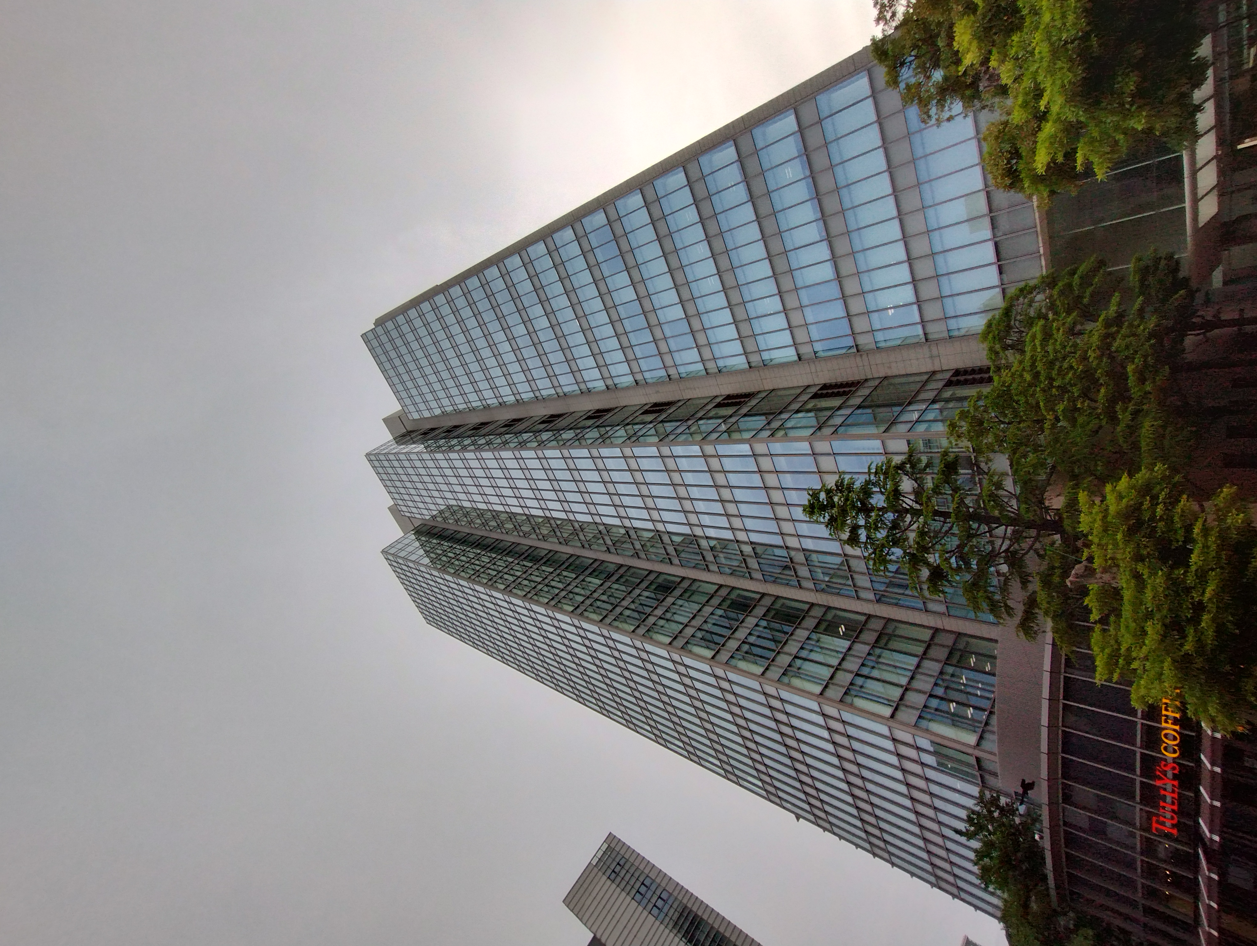 超広角カメラで撮影