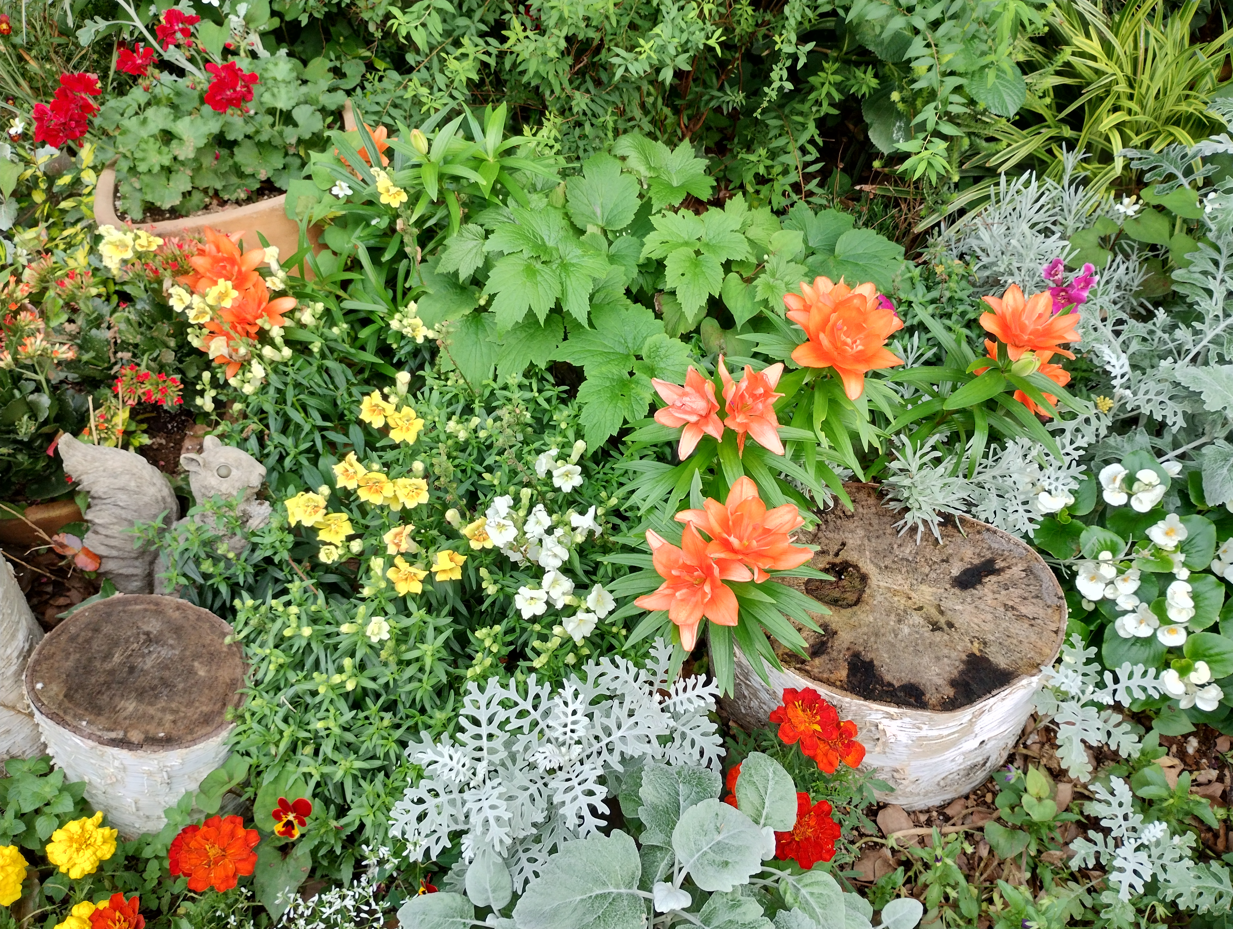 超広角カメラ（左）とメインカメラ（右）