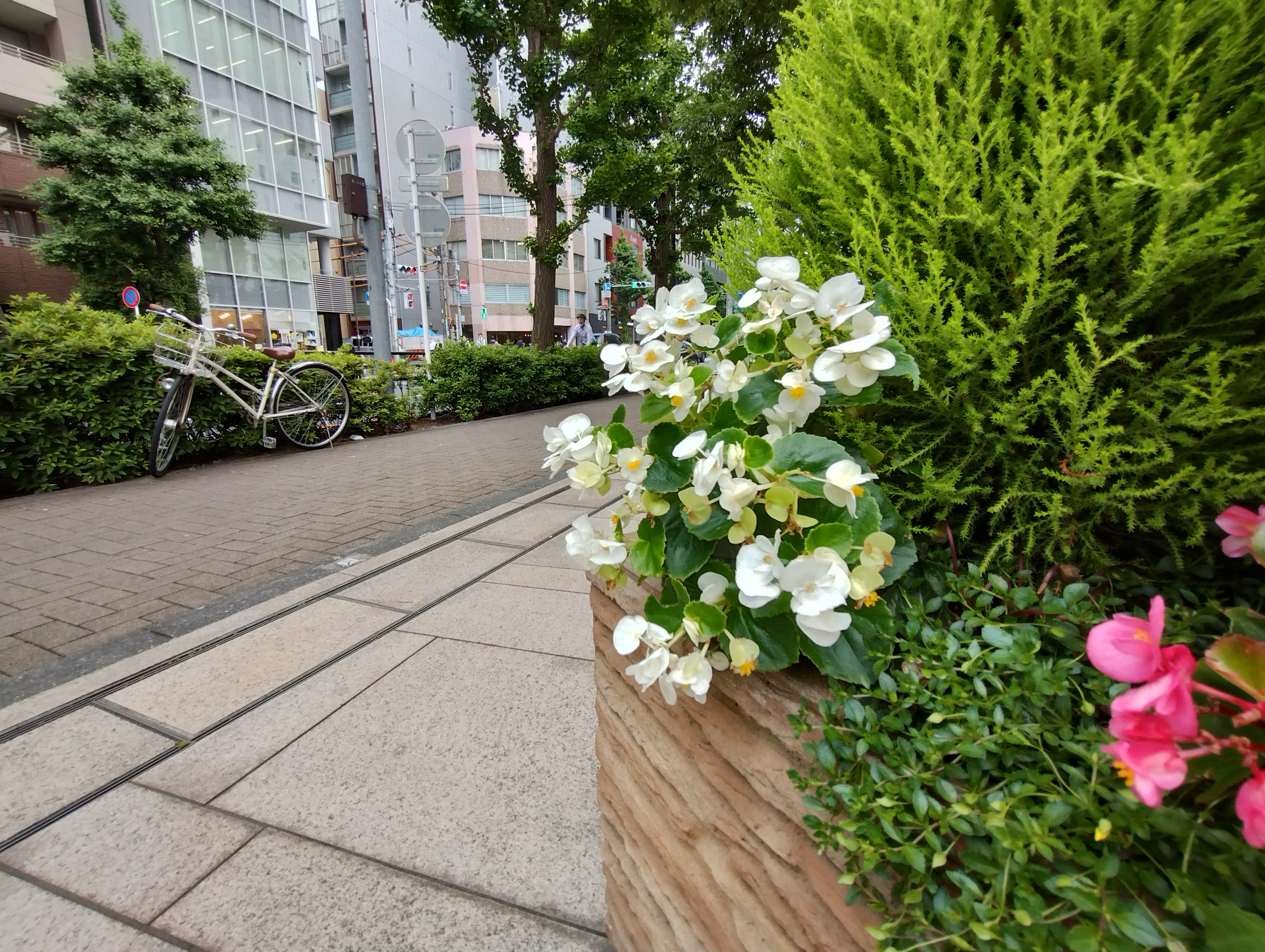 超広角カメラ（左）とメインカメラ（右）