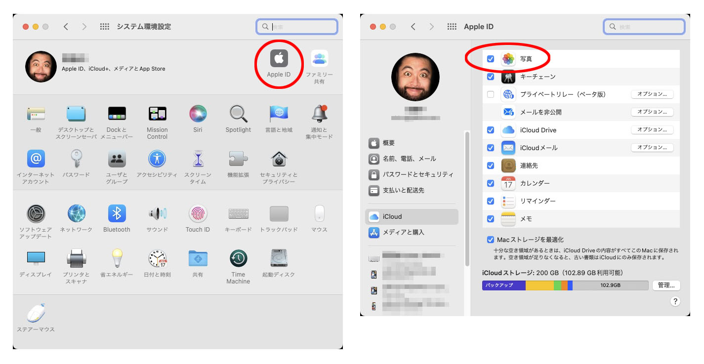 こちらはMacでの設定。りんごマークのAppleメニューから、システム環境設定＞Apple IDと進み、iCloudを選んで「写真」をオンにする