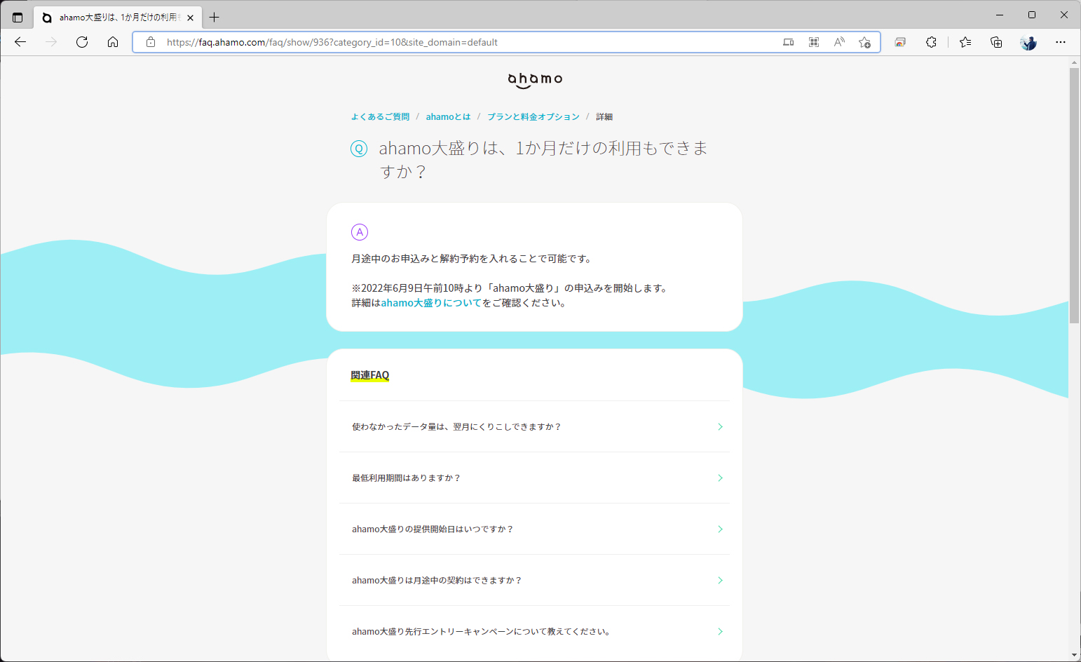 注意点は翌月も自動適用になるところ。翌月は20GBで足りるときには、解約予約をしておく必要がある