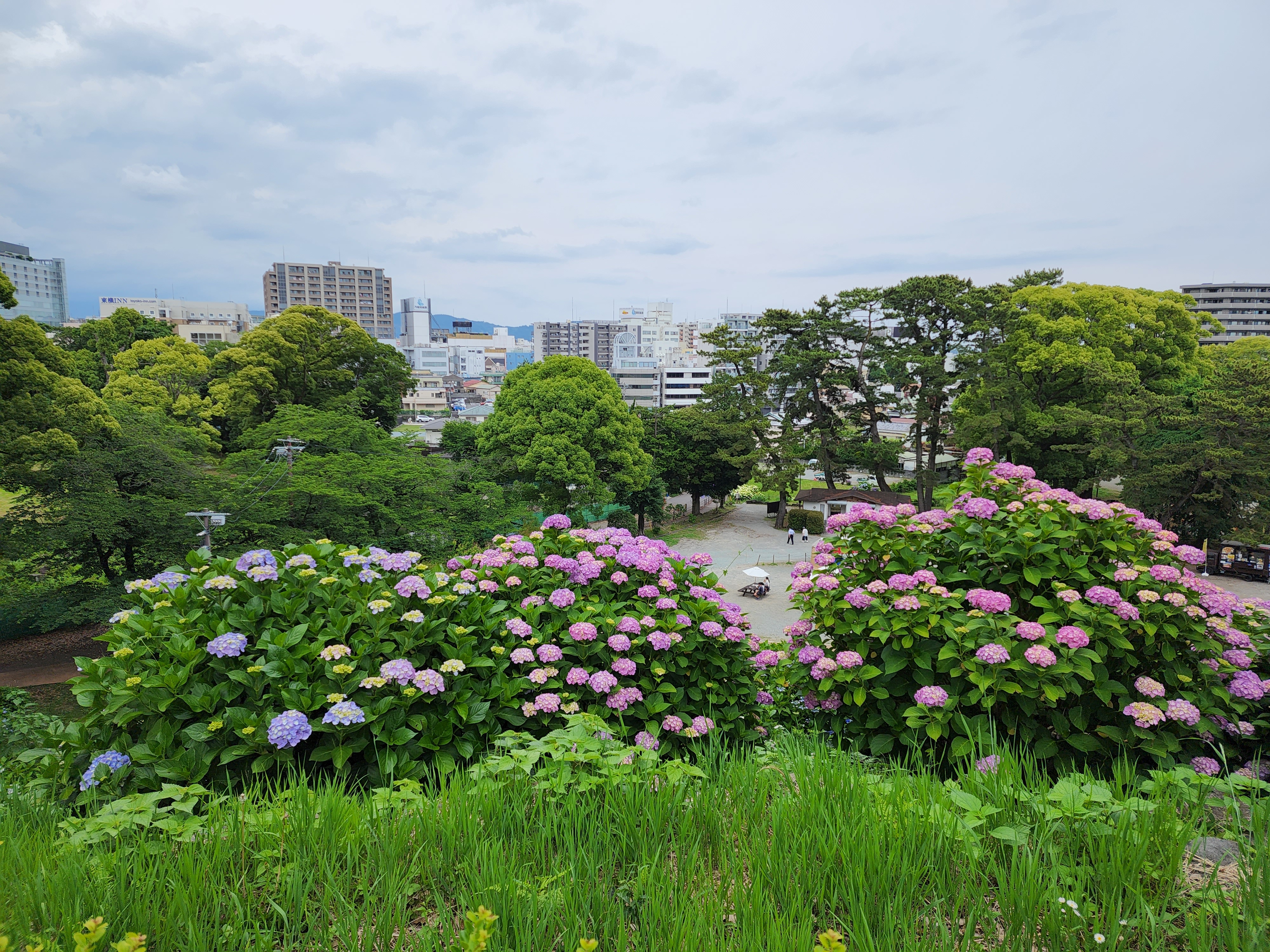 梅雨空の公園。手前に咲く紫陽花から奥の木々にかけての描写がいい感じだ。曇天下の微妙な色合いも的確なオートホワイトバランスで表現してくれた。