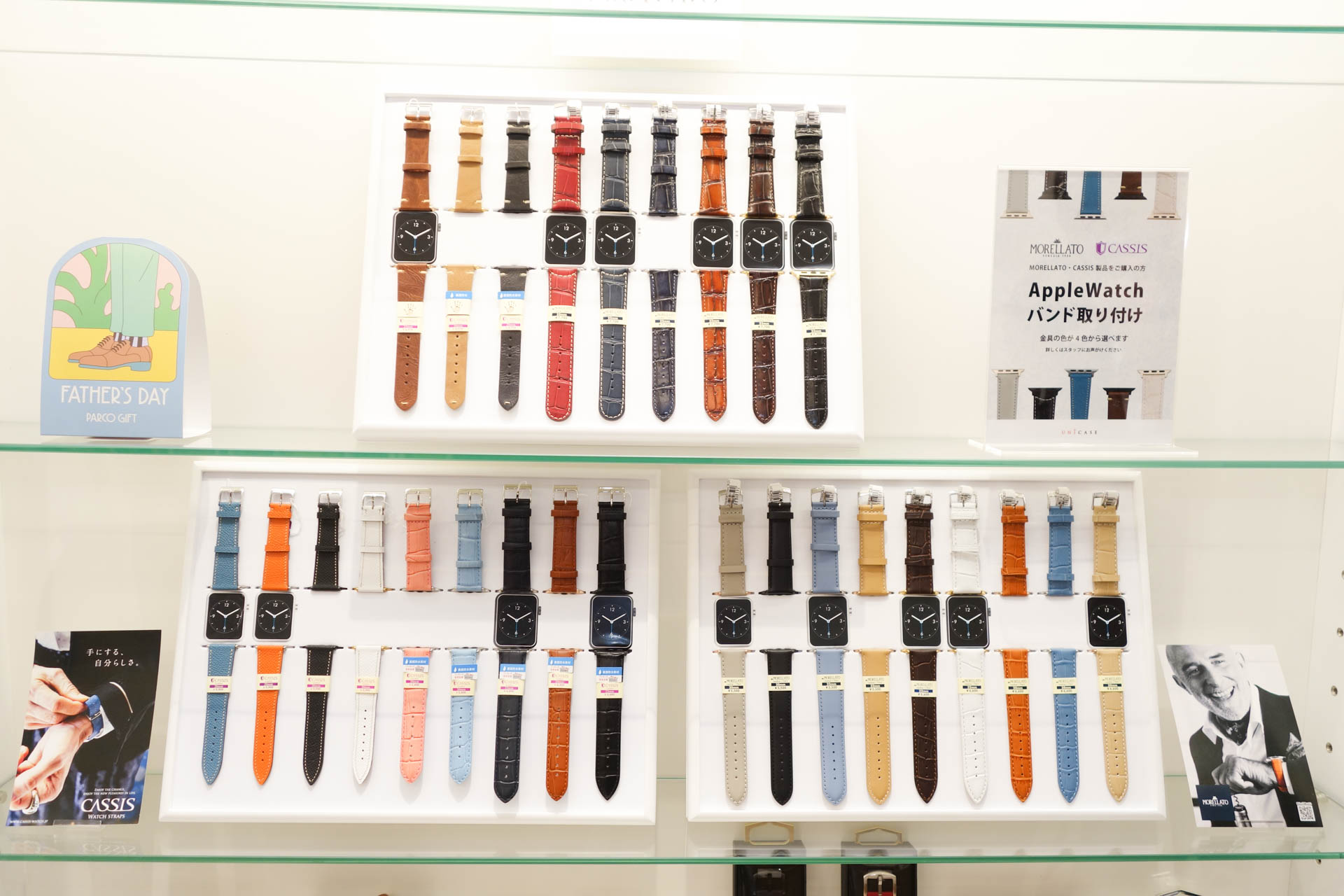 「MORELLATO」と「CASSIS」の革ベルト