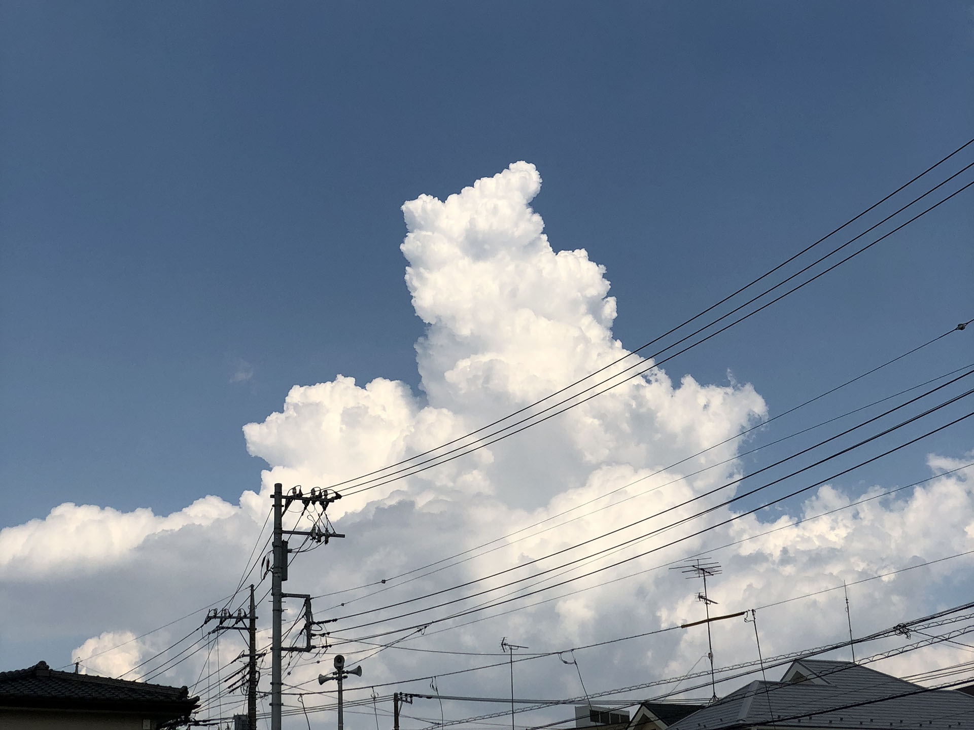 たとえばこんな写真。おっイイ感じの積乱雲!!!　とか思ってスマートフォンで撮るわけですな。積乱雲はナマモノみたいなもので、アッと思ったらすぐ撮らないと、どんどんカタチが変わってしまう。手前に電線があっても、とりあえず撮る。で、電線が写り込まない場所まで行ってさらに撮……ろうと思ったりするが、たいていそういう場所は見つからないのであった。日本全国電線だらけ。