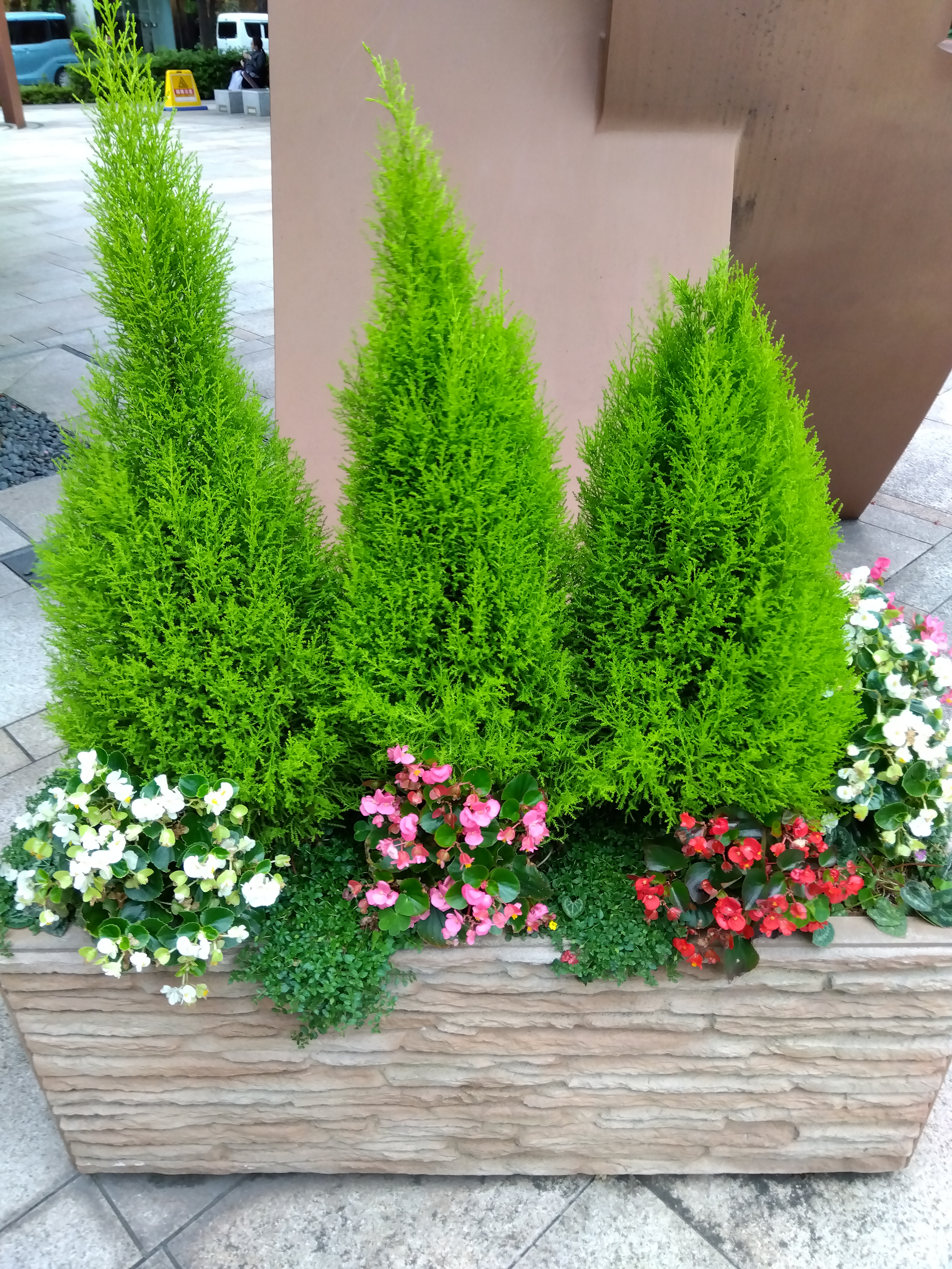 ポートレートで撮影