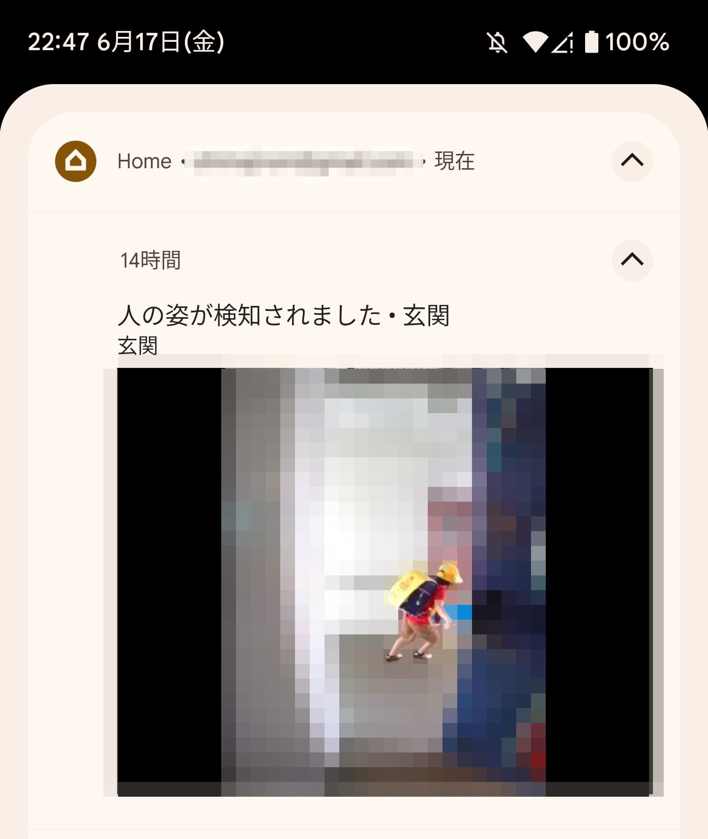 出かけた時点や、帰宅時点での様子を確認できる