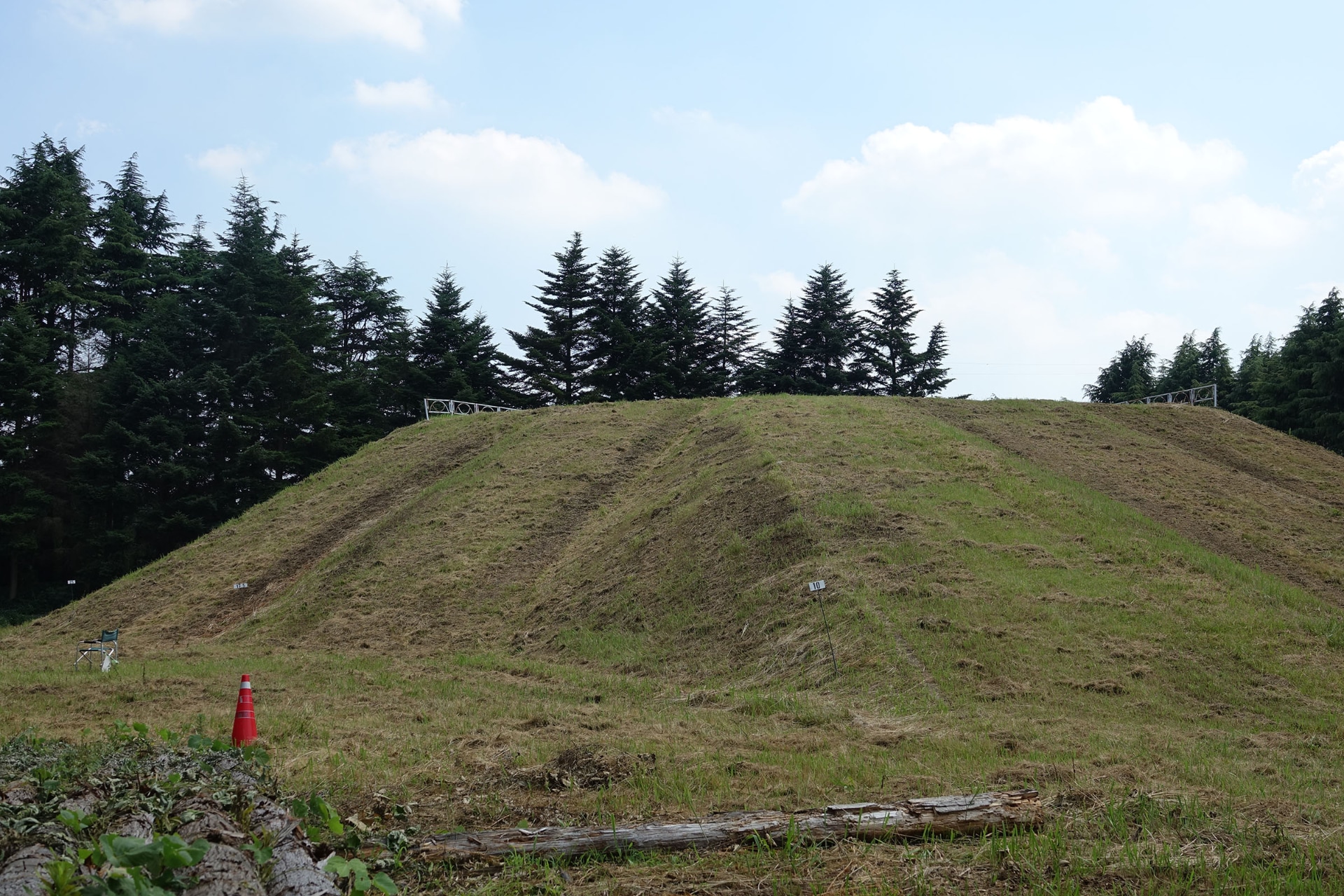 森林総合研究所に設けられた造成地