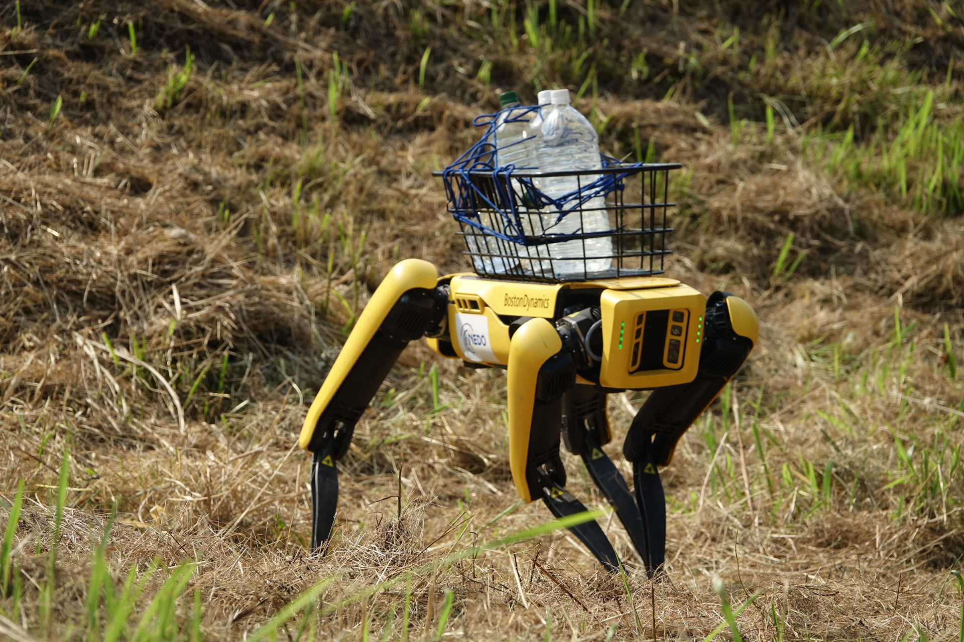 うまく体制を立て直し、荷物がある状態でも起き上がる機能をもつ