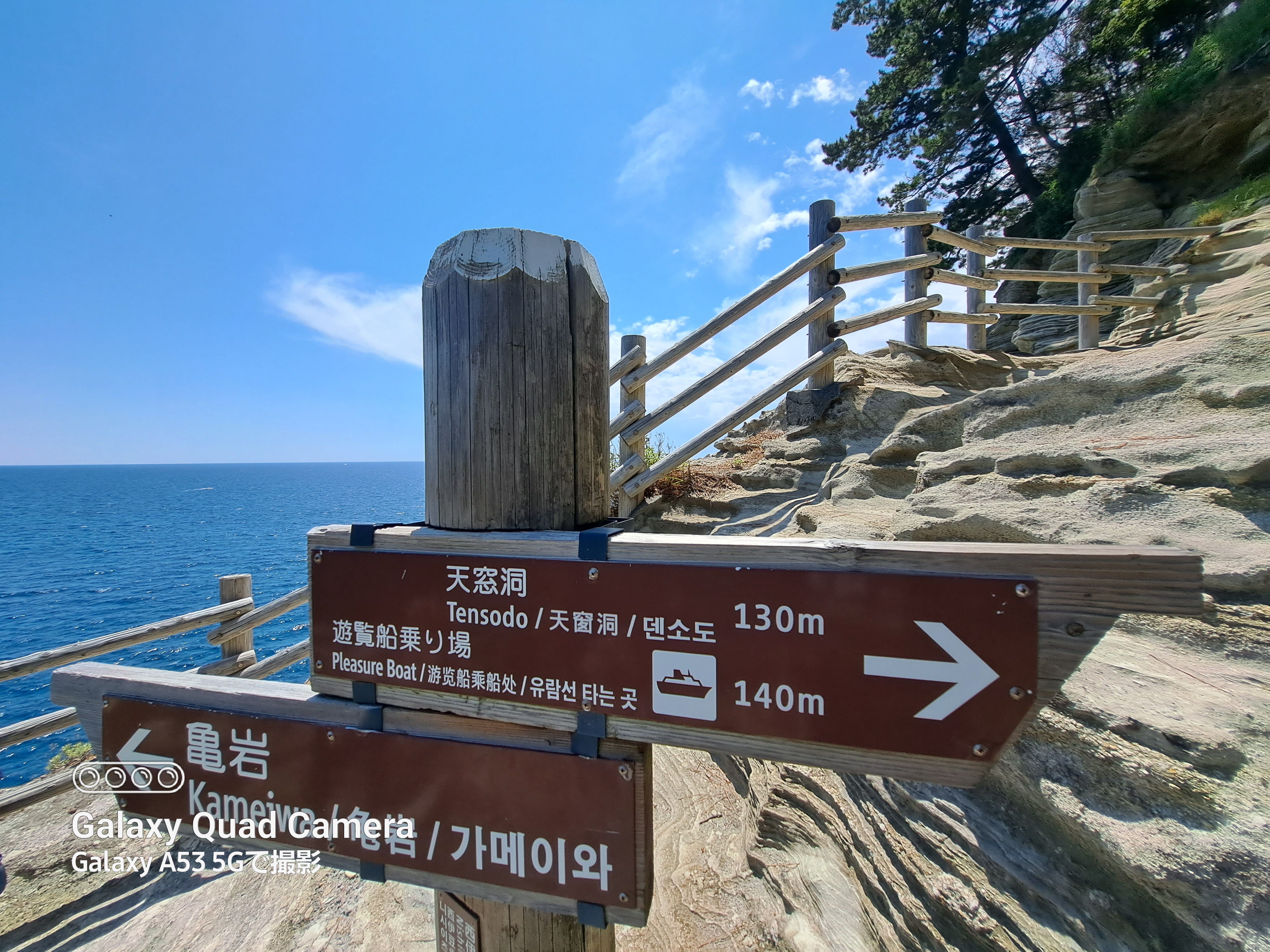 超広角で撮影。超広角で寄って撮るのもおもしろい