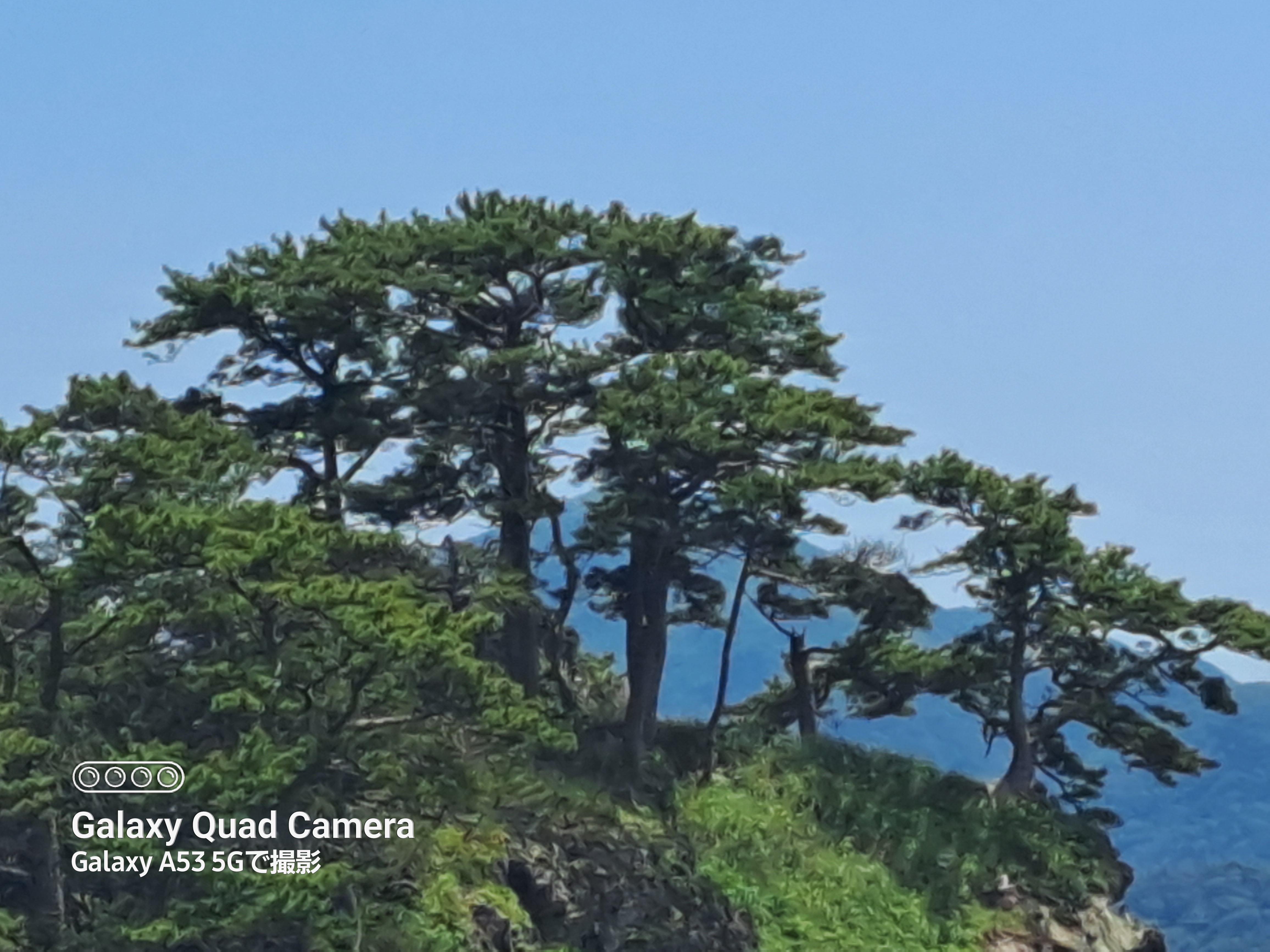 デジタルズーム10倍は精細さは落ちるが、記録としてはじゅうぶんなレベル